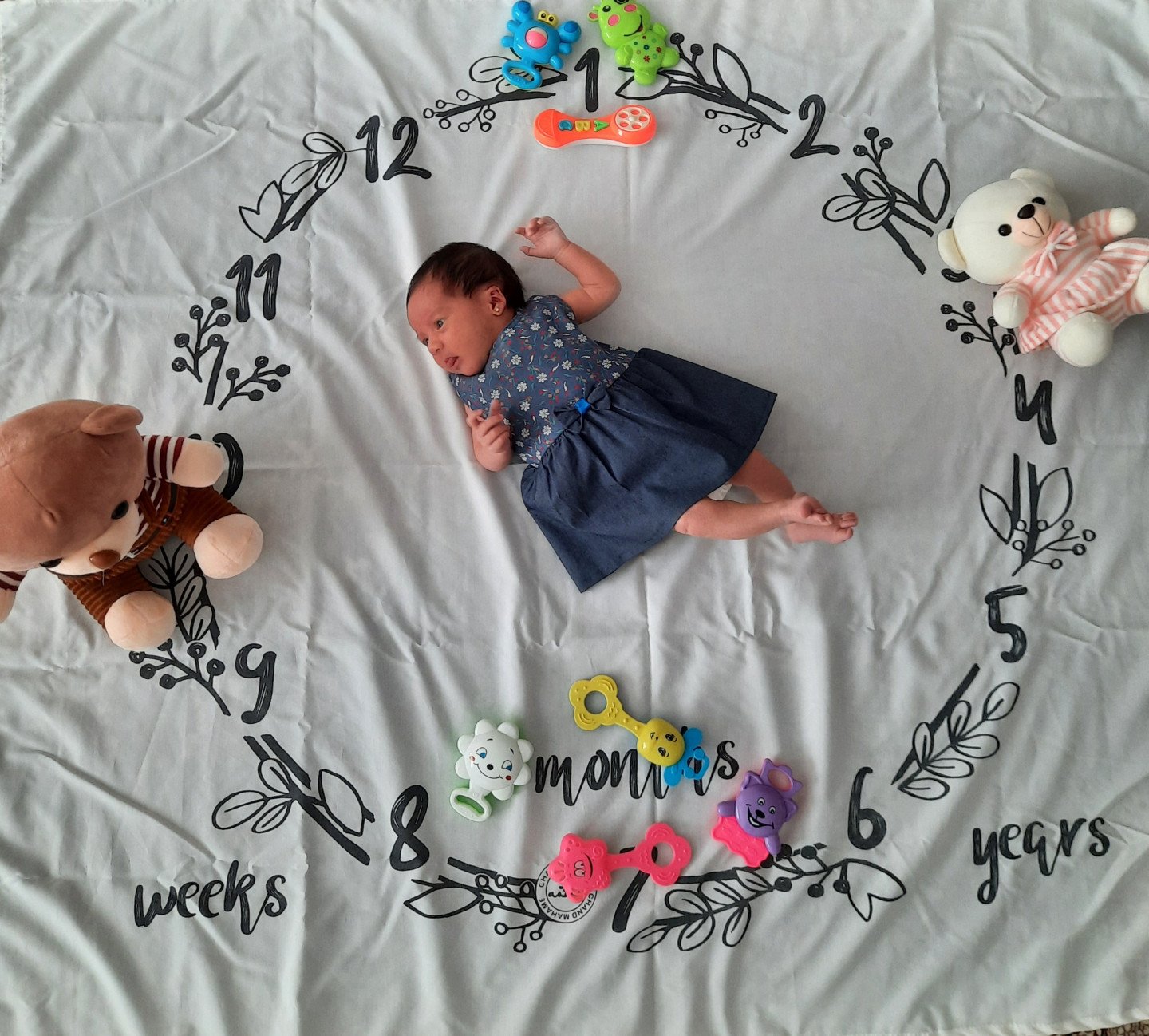 ماه رمضان حلما ندافت