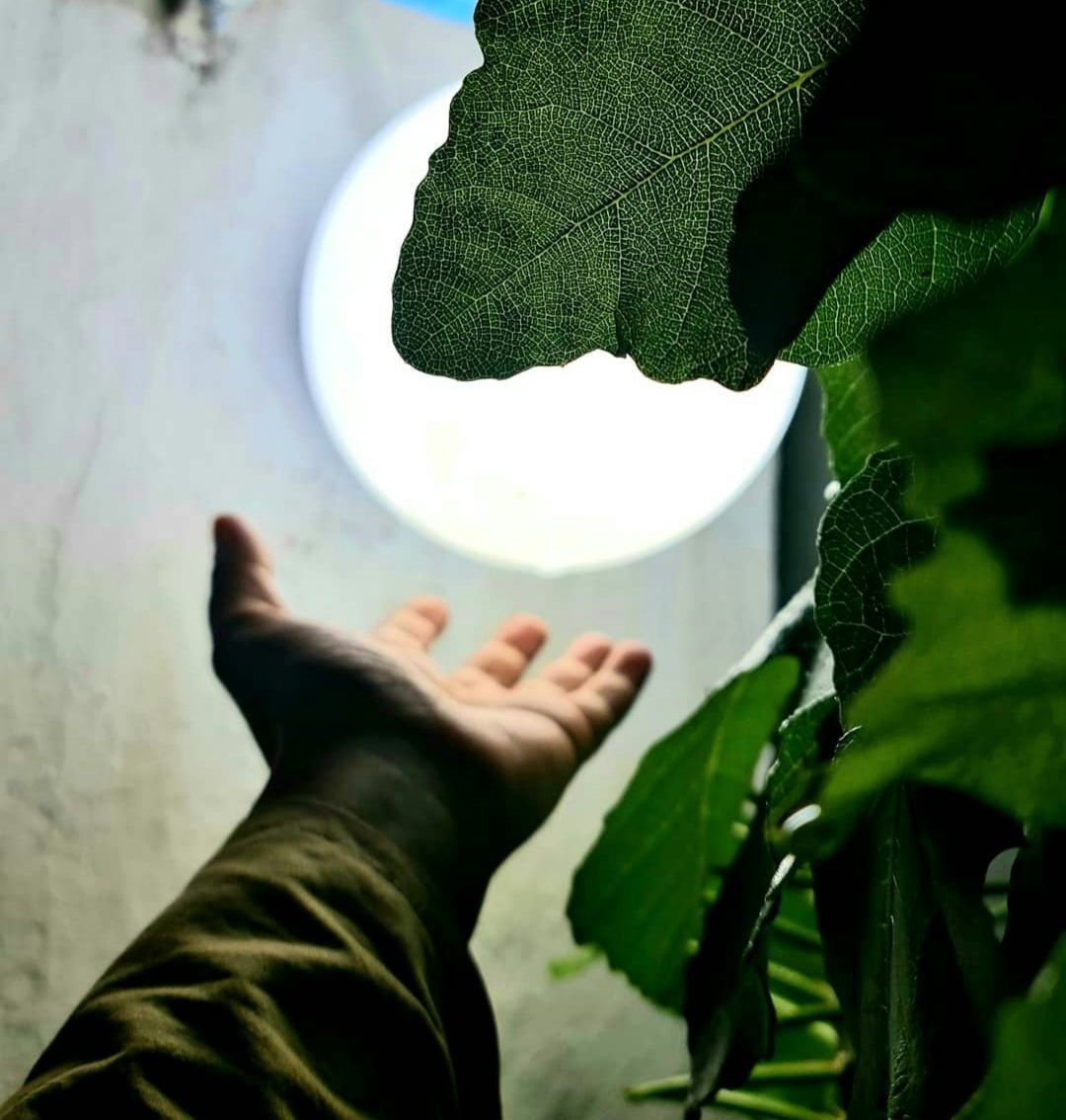 مسابقه ماه رمضان ارسلان کوچه باغی