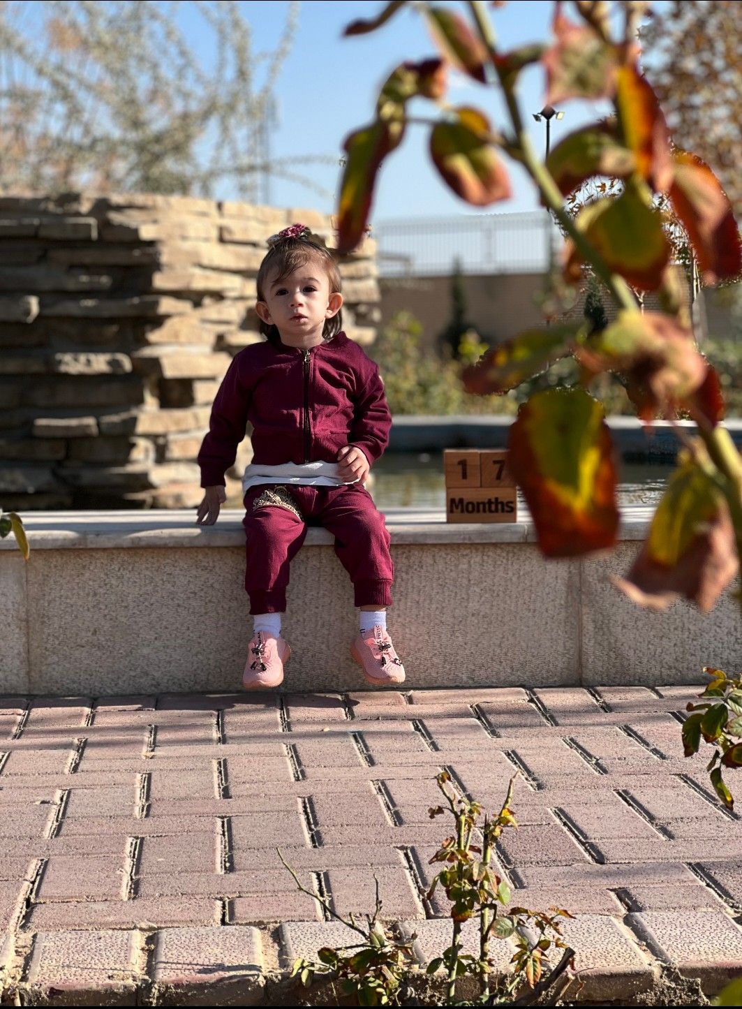 عکس-پاییزی آتریسا علیزاده