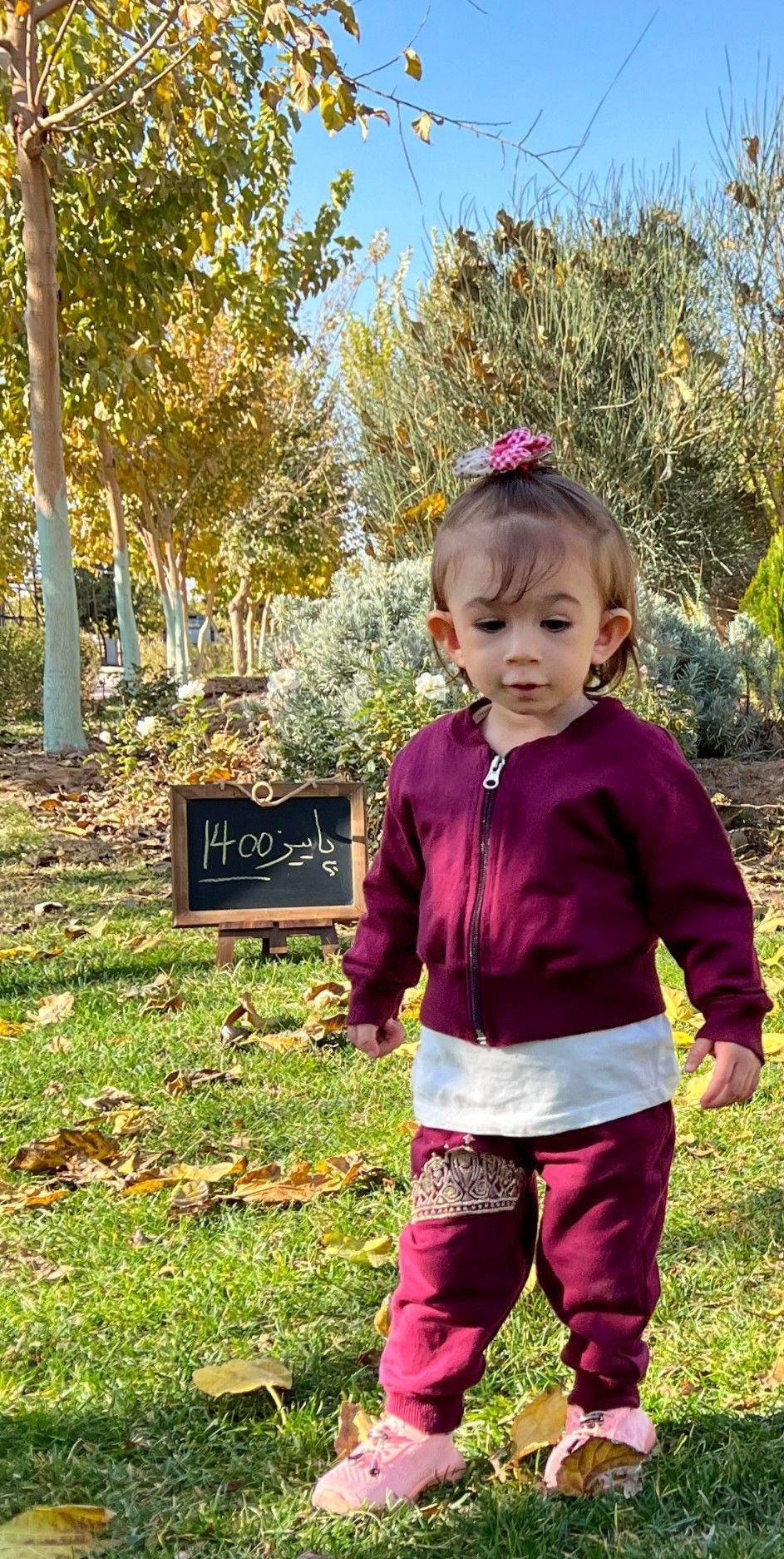 تخته-سیاه-فانتزی آتریسا علیزاده