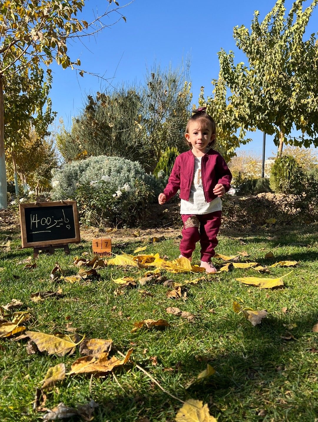 تم عکس پاییزی نوزاد آتریسا علیزاده