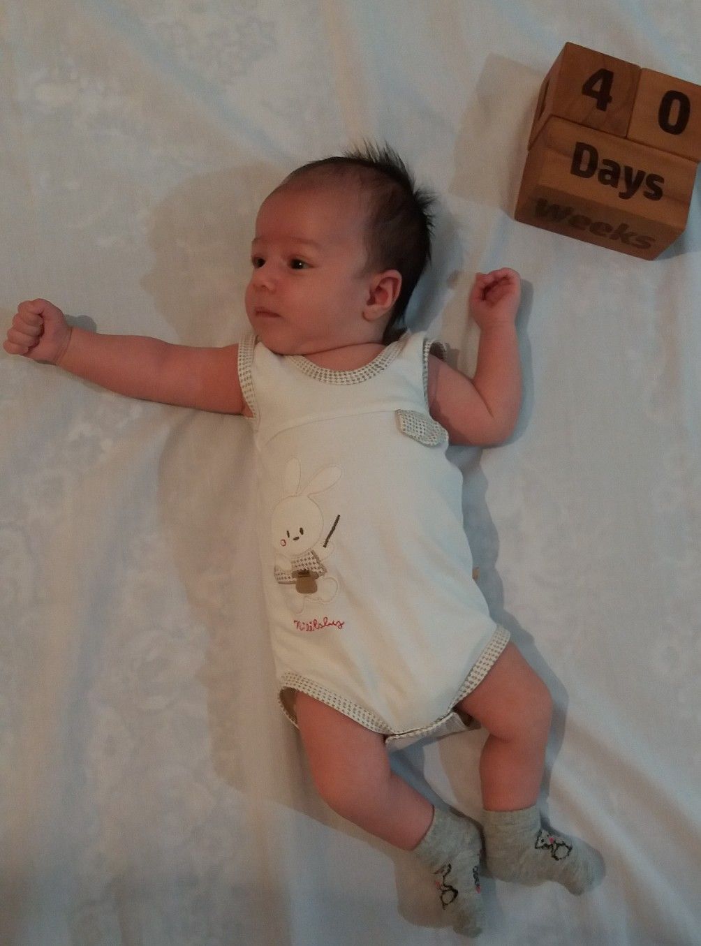 چهل-روزگی سورنا دارابی