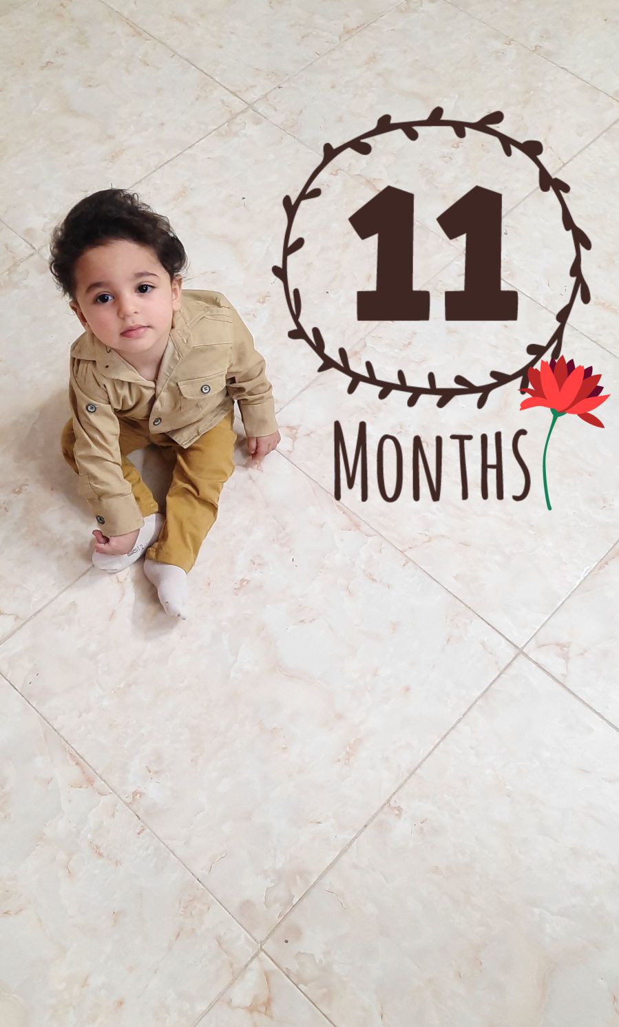 یازده ماهگی نوزاد شاهان ضیائی