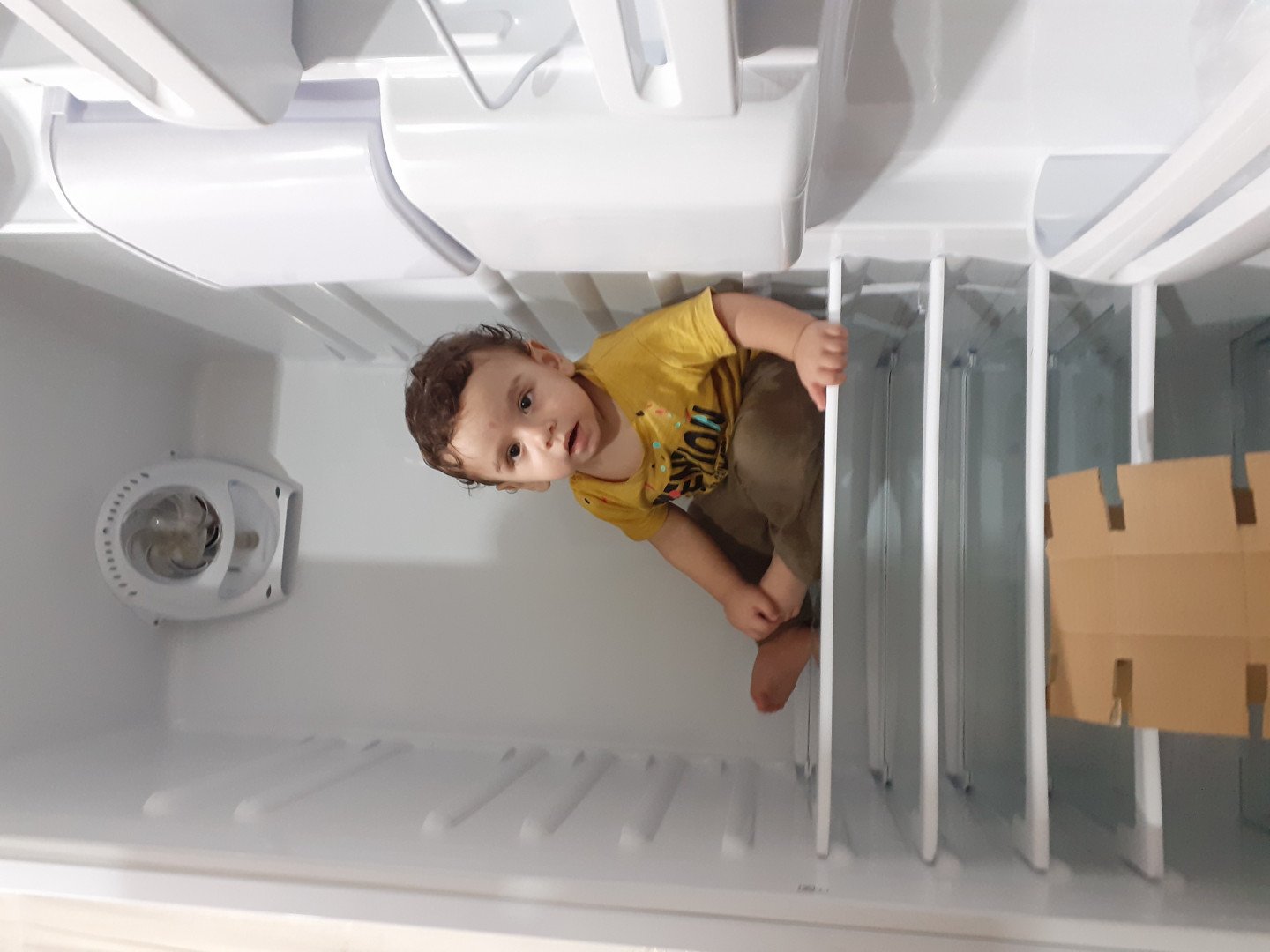 اصلاح موی نوزاد مهراد