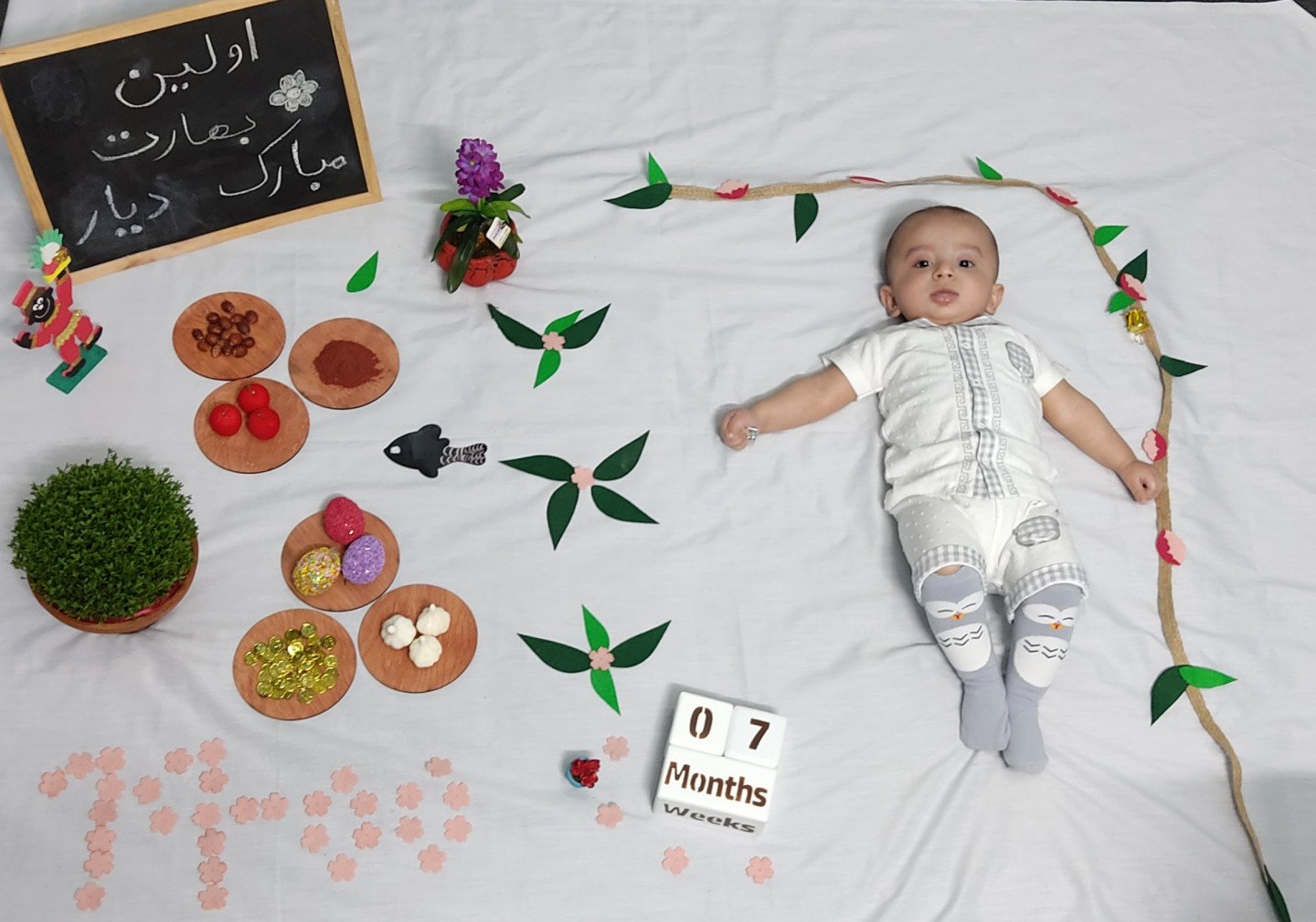 اشکال-چوبی-طرح-دایره-33396