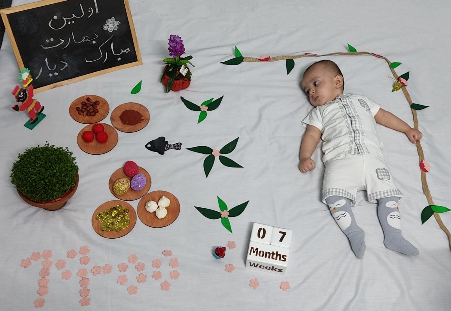 اشکال-چوبی-طرح-دایره-33397