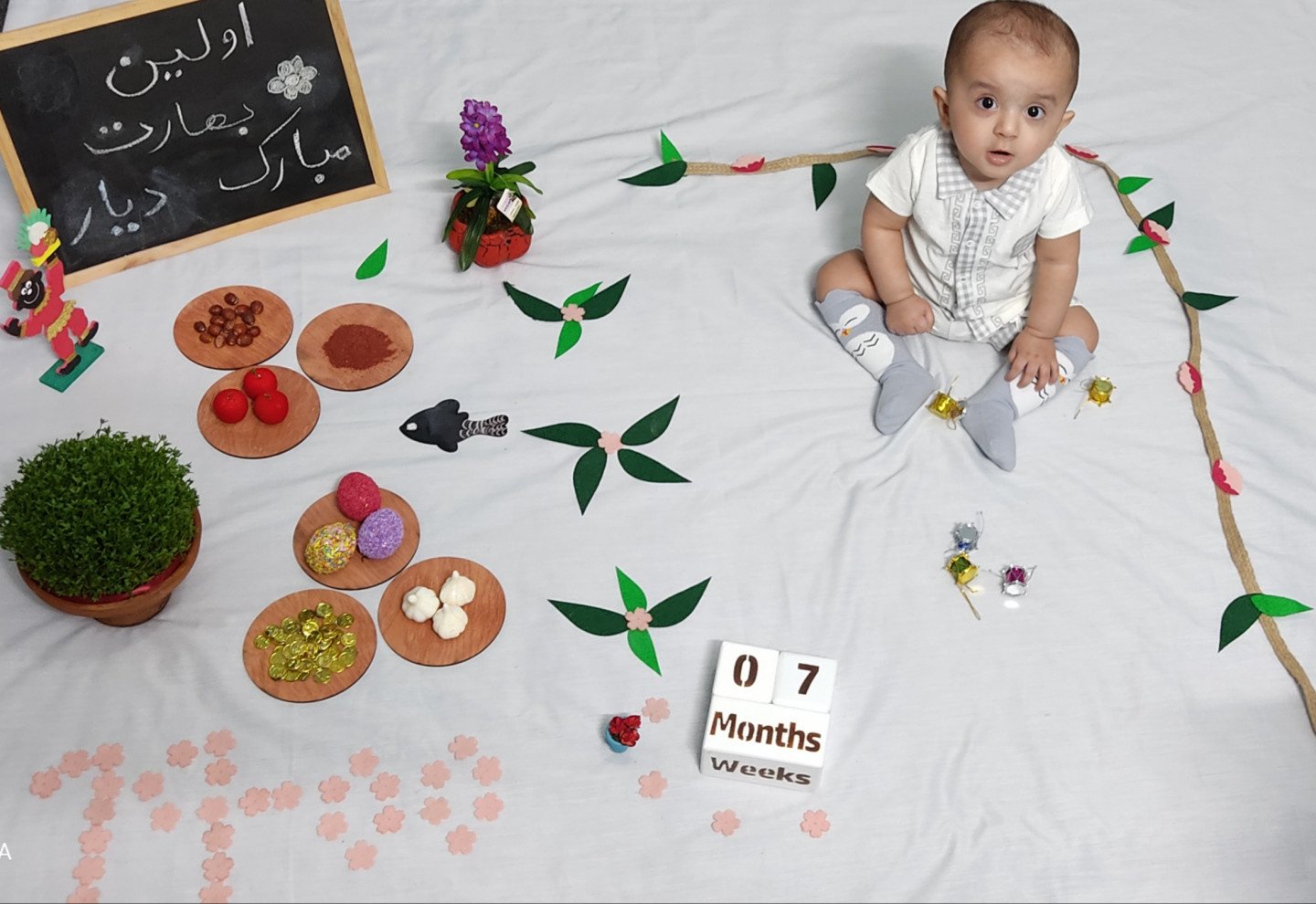 اشکال-چوبی-طرح-دایره-33398