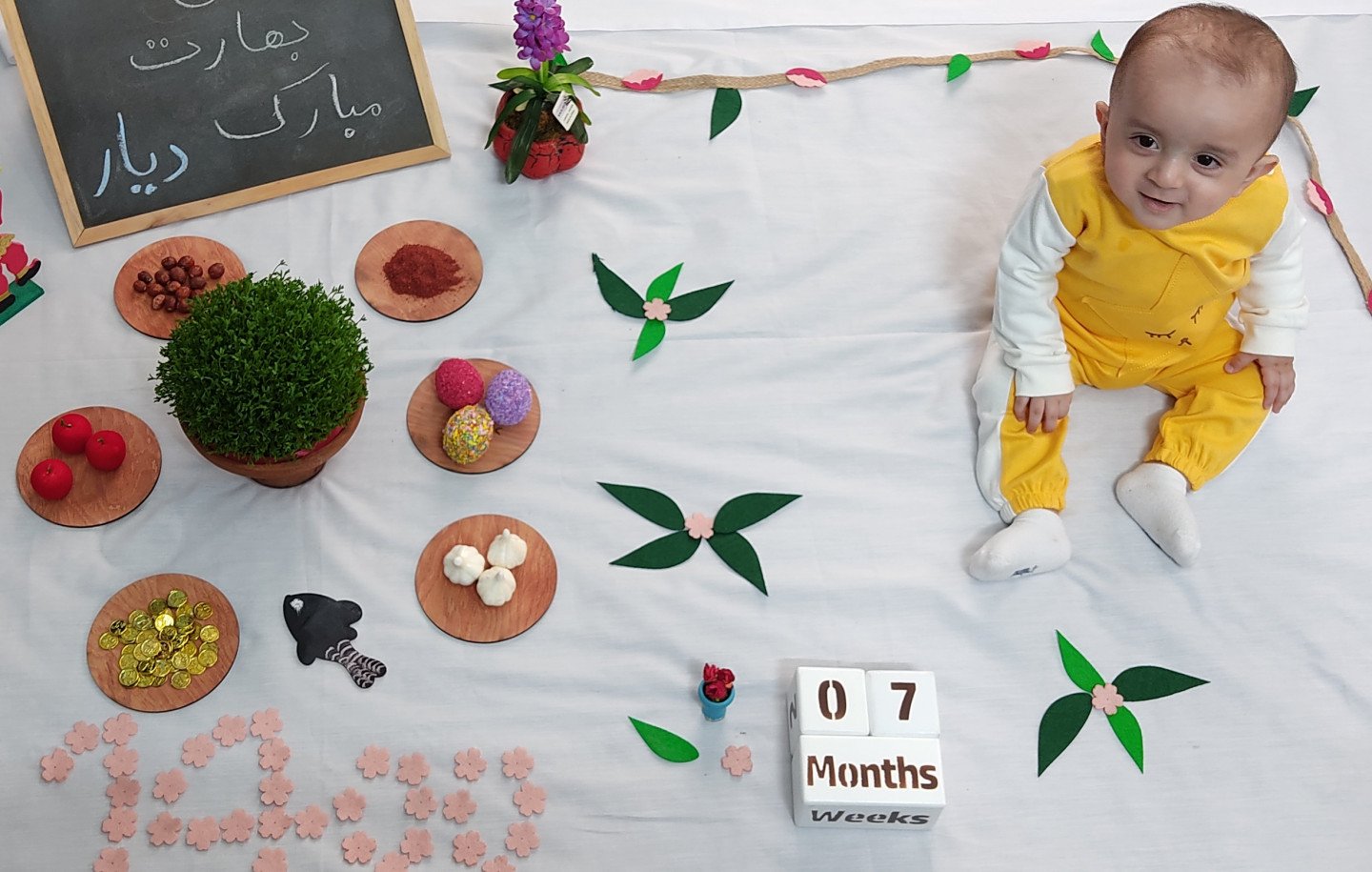 ریسه و شکوفه بهاری دیار عربشاهی