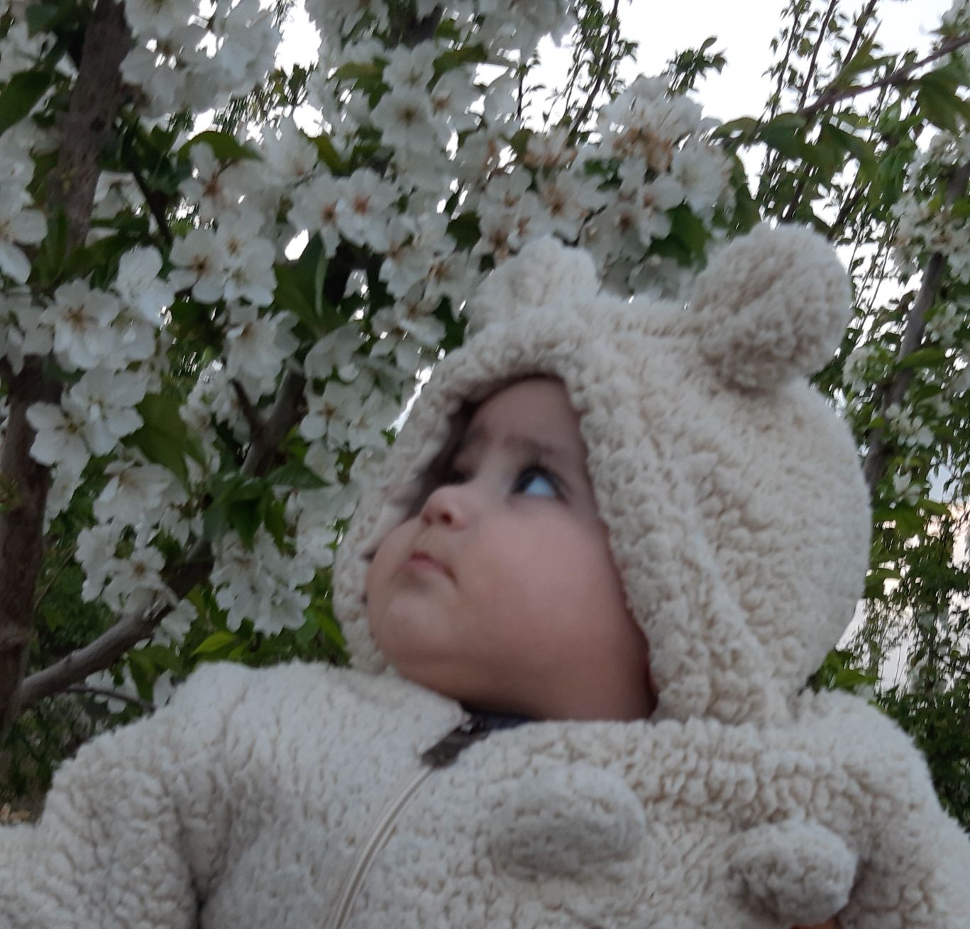 عکس سیزده بدر آوینا احمدی