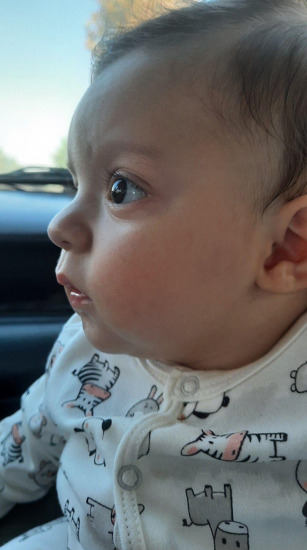 ایده طاها ناظمی فر