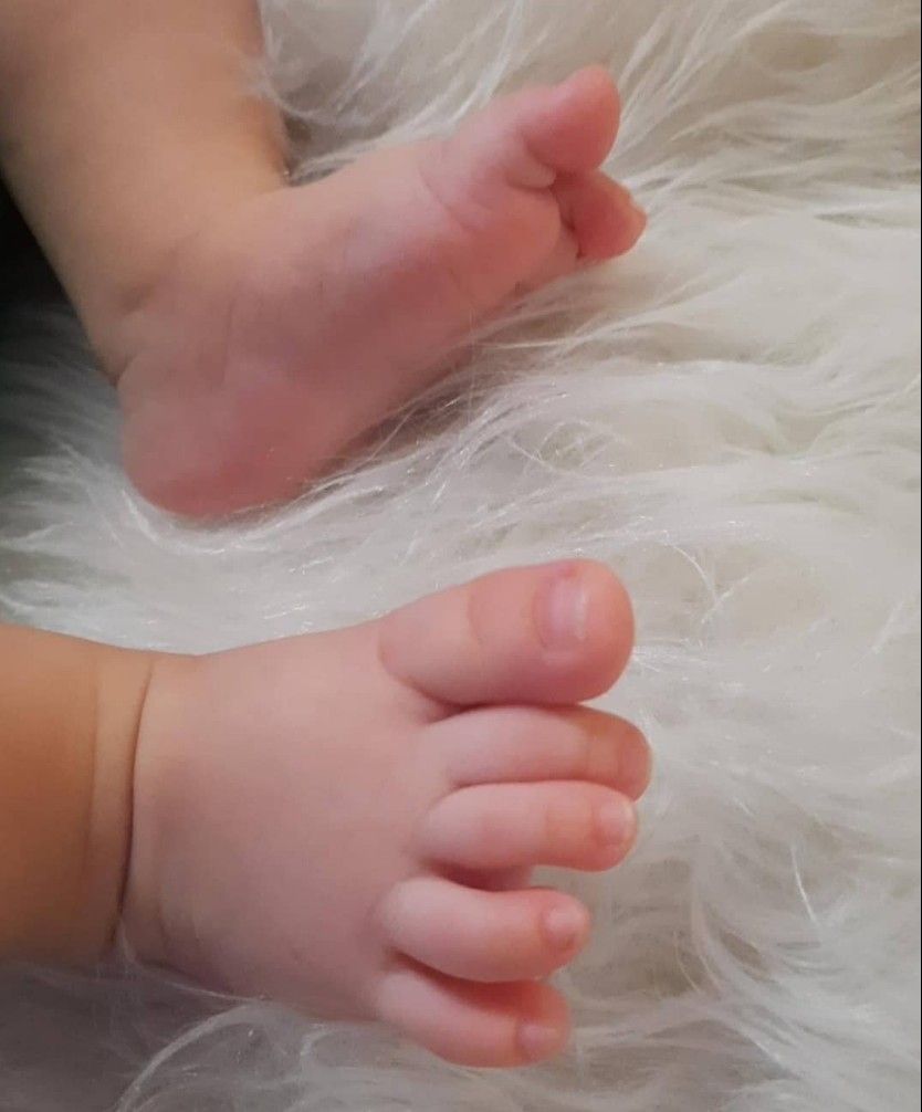 خلاقیت طاها ناظمی فر