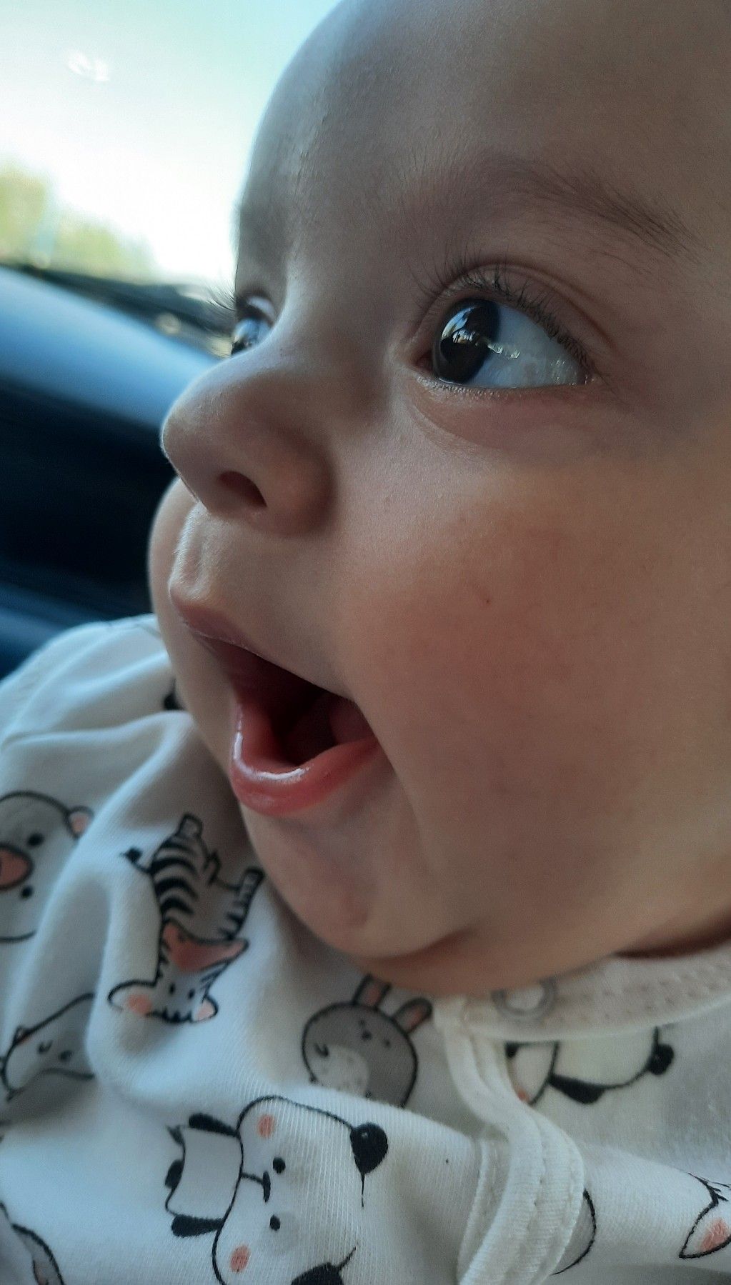 عکس نوزاد پسر طاها ناظمی فر