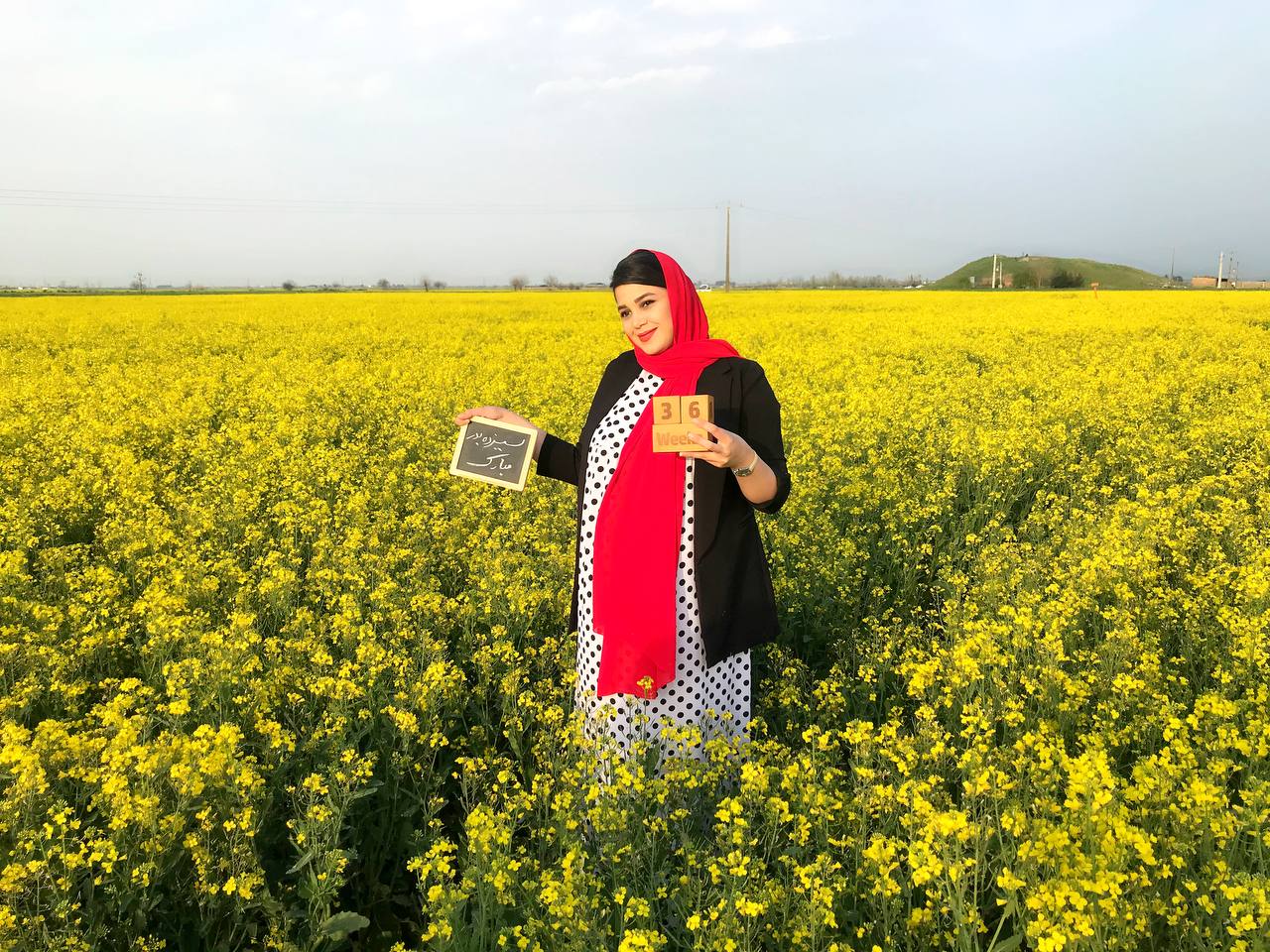 بارداری كيان ميرعرب رضي