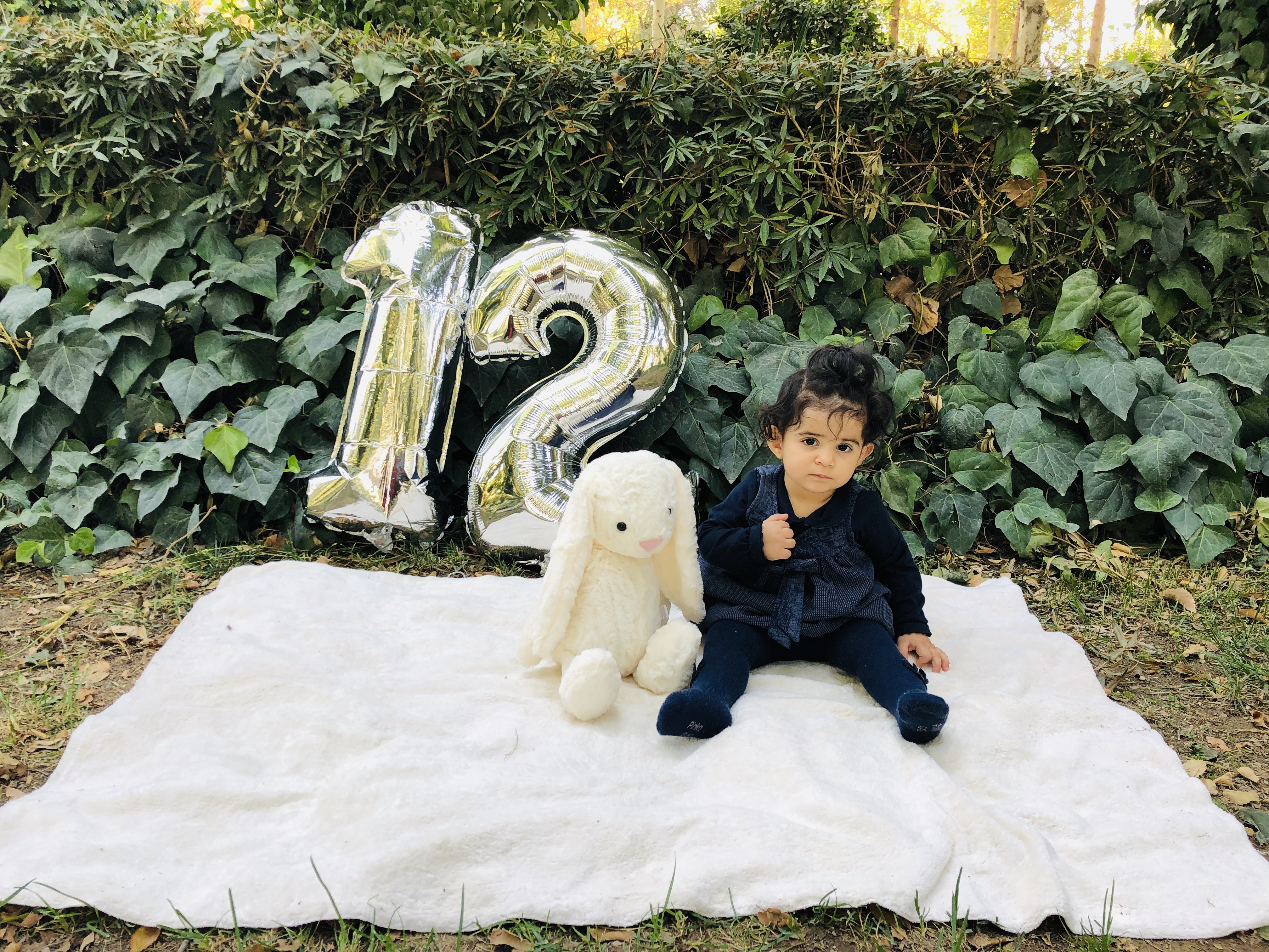 دوازده ماهگی نوزاد لیانا ارشدی