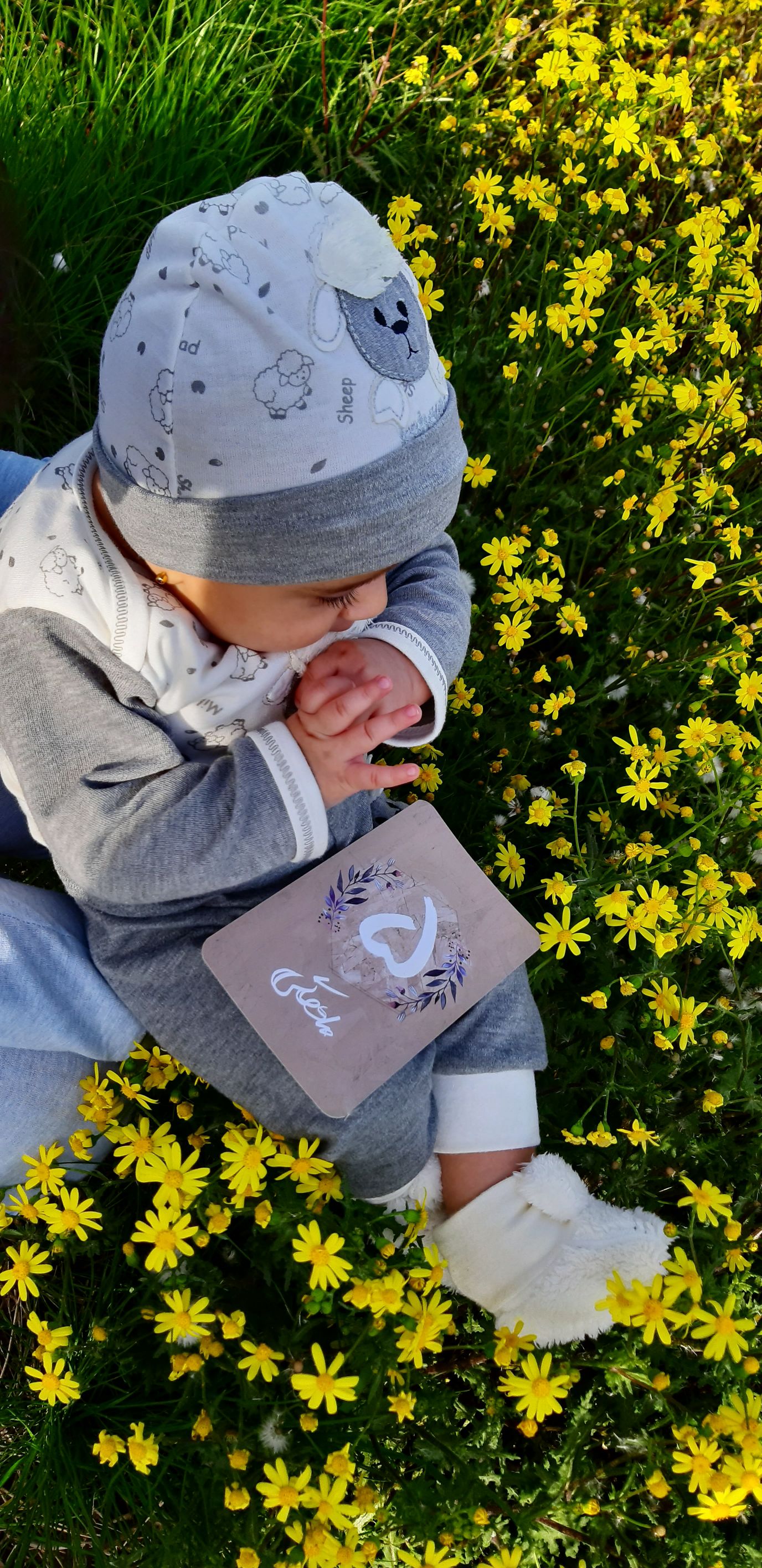 تم عکس بهاری کودک آنیسا صادق نیا