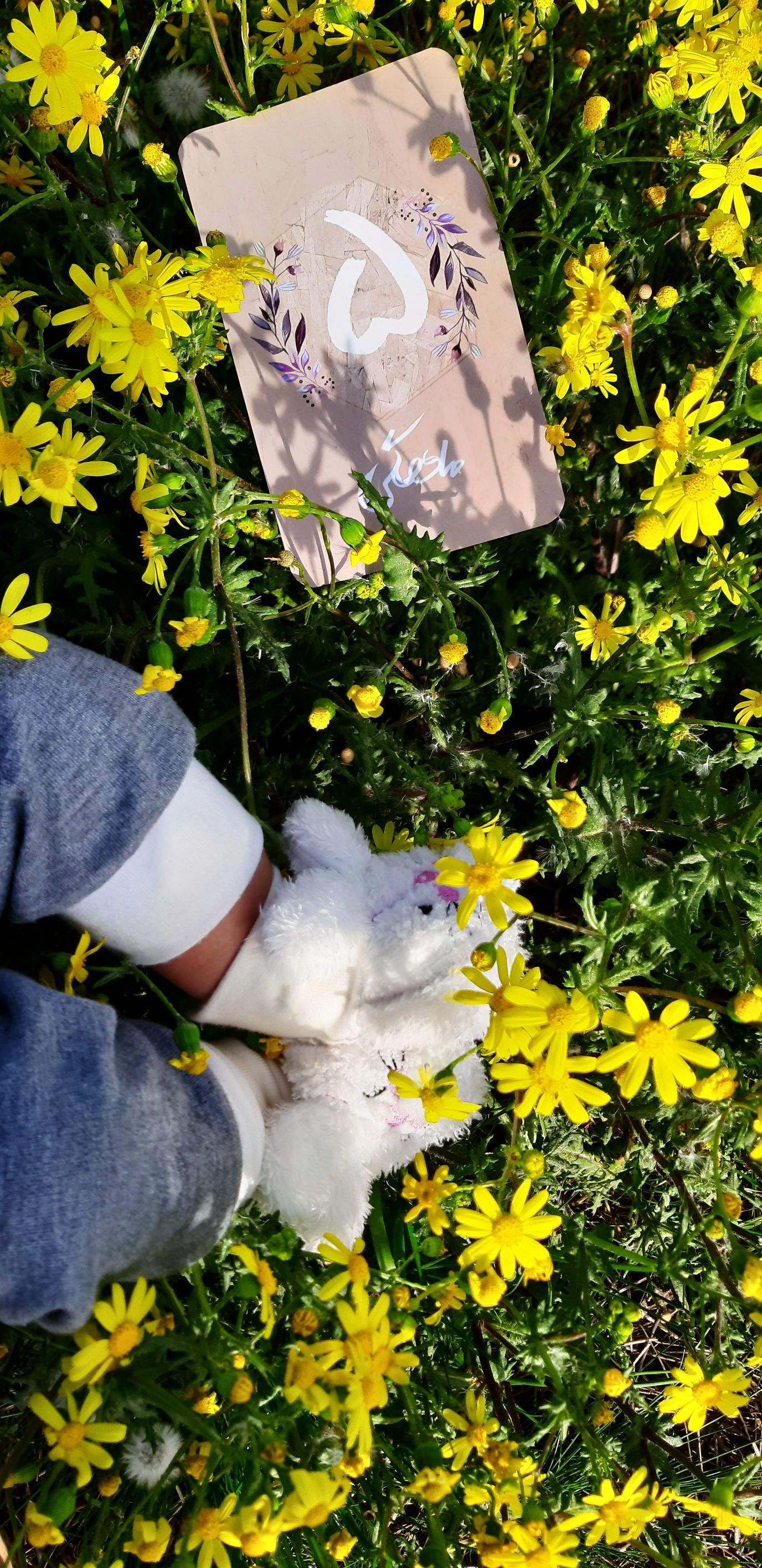 پنج ماهگی نوزاد آنیسا صادق نیا