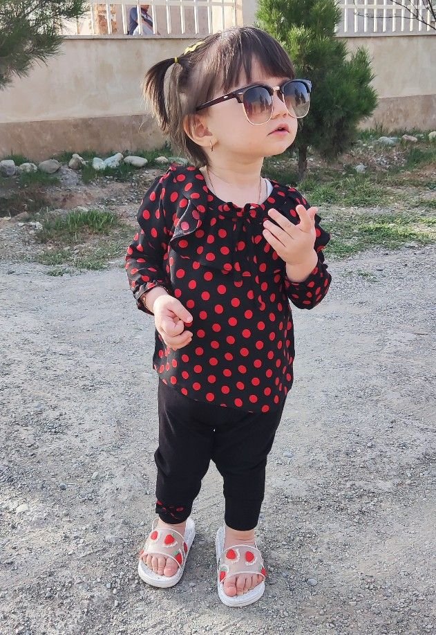 یک-عدد-نفس گندم یوسفی