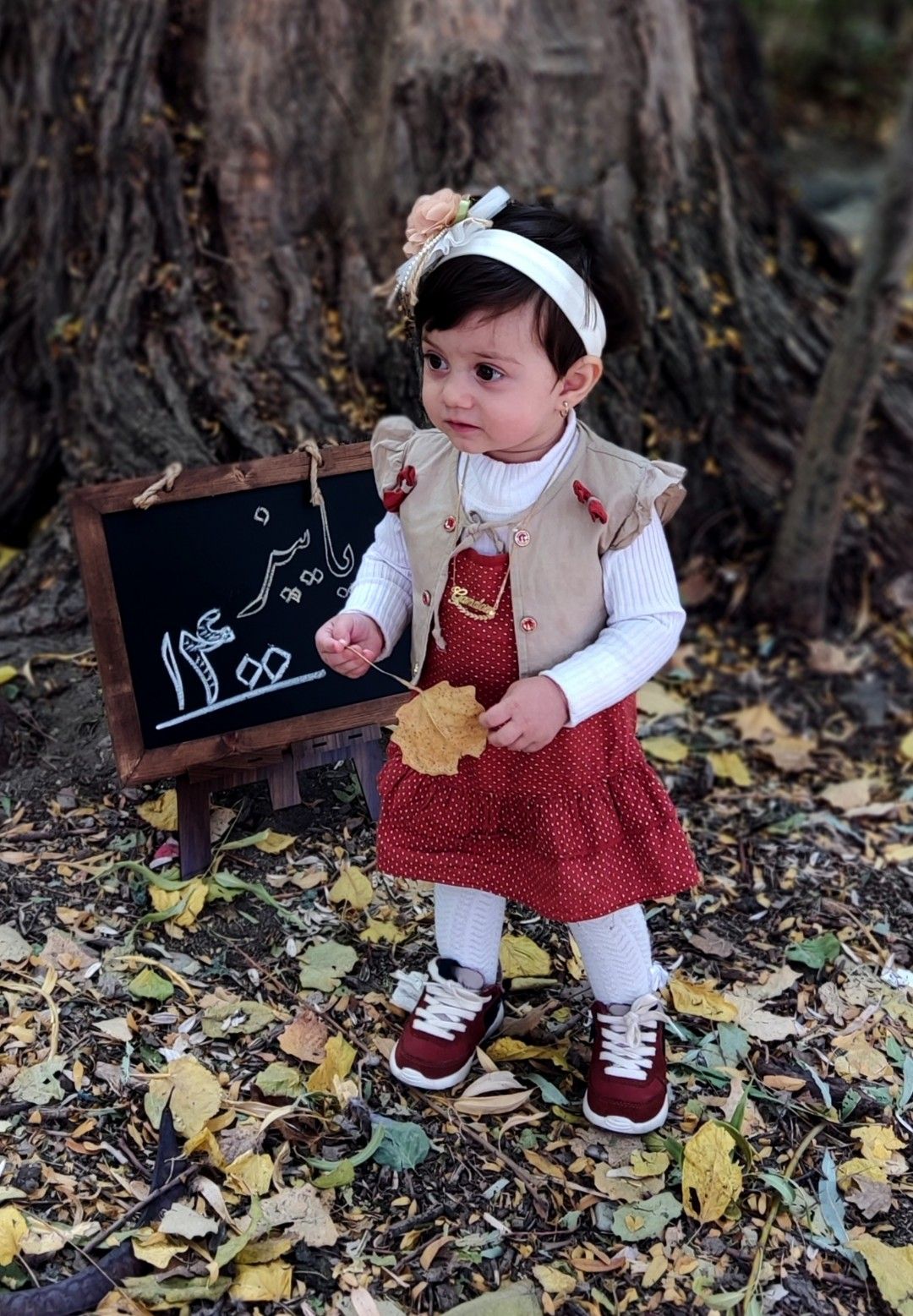 تخته-سیاه-فانتزی گندم یوسفی