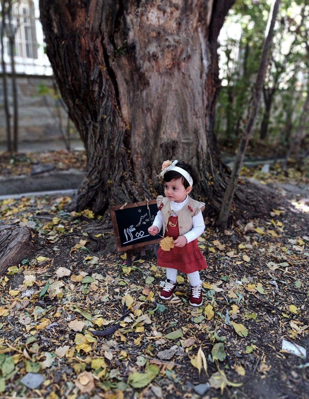 تخته-سیاه-فانتزی گندم یوسفی