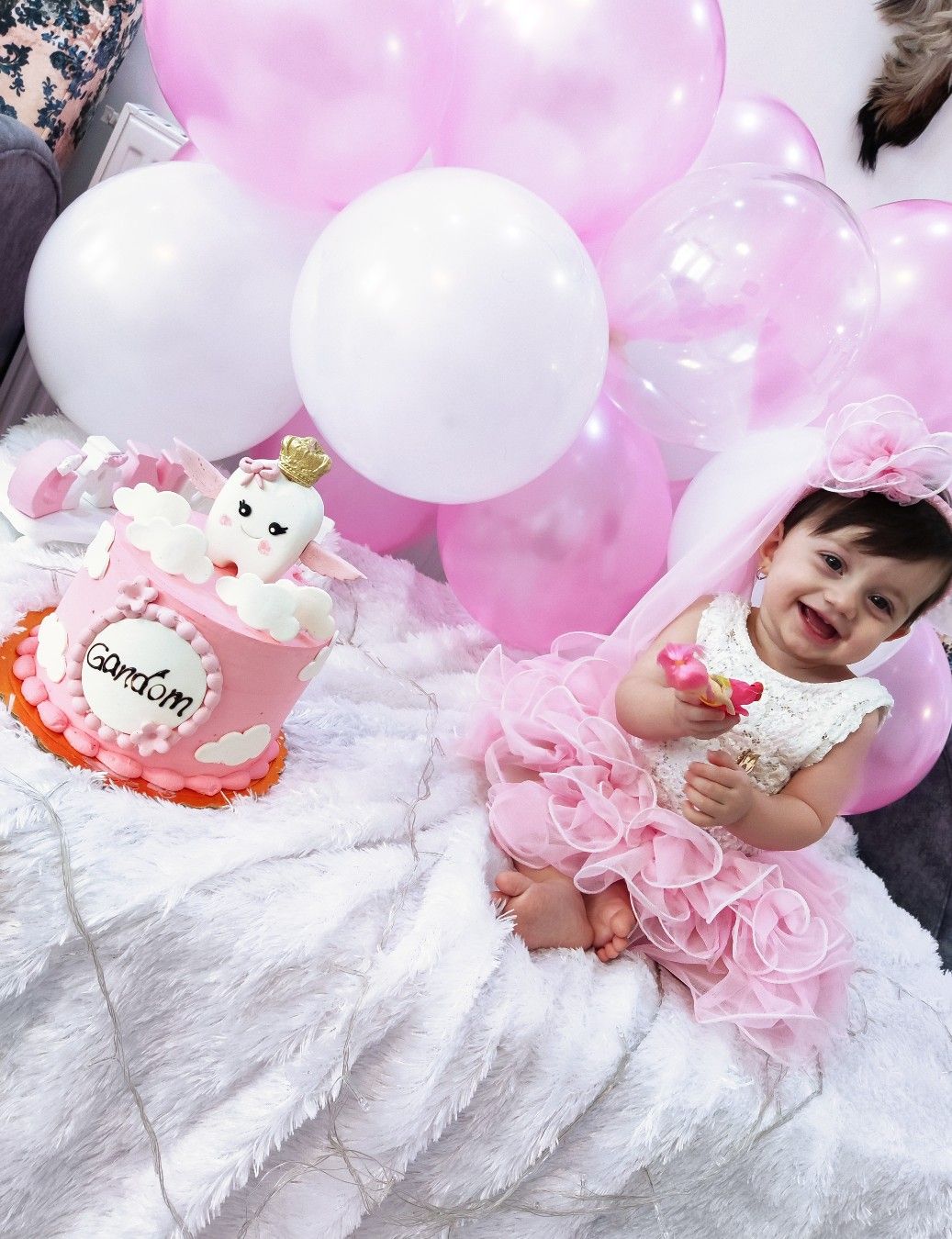 یازده ماهگی نوزاد گندم یوسفی