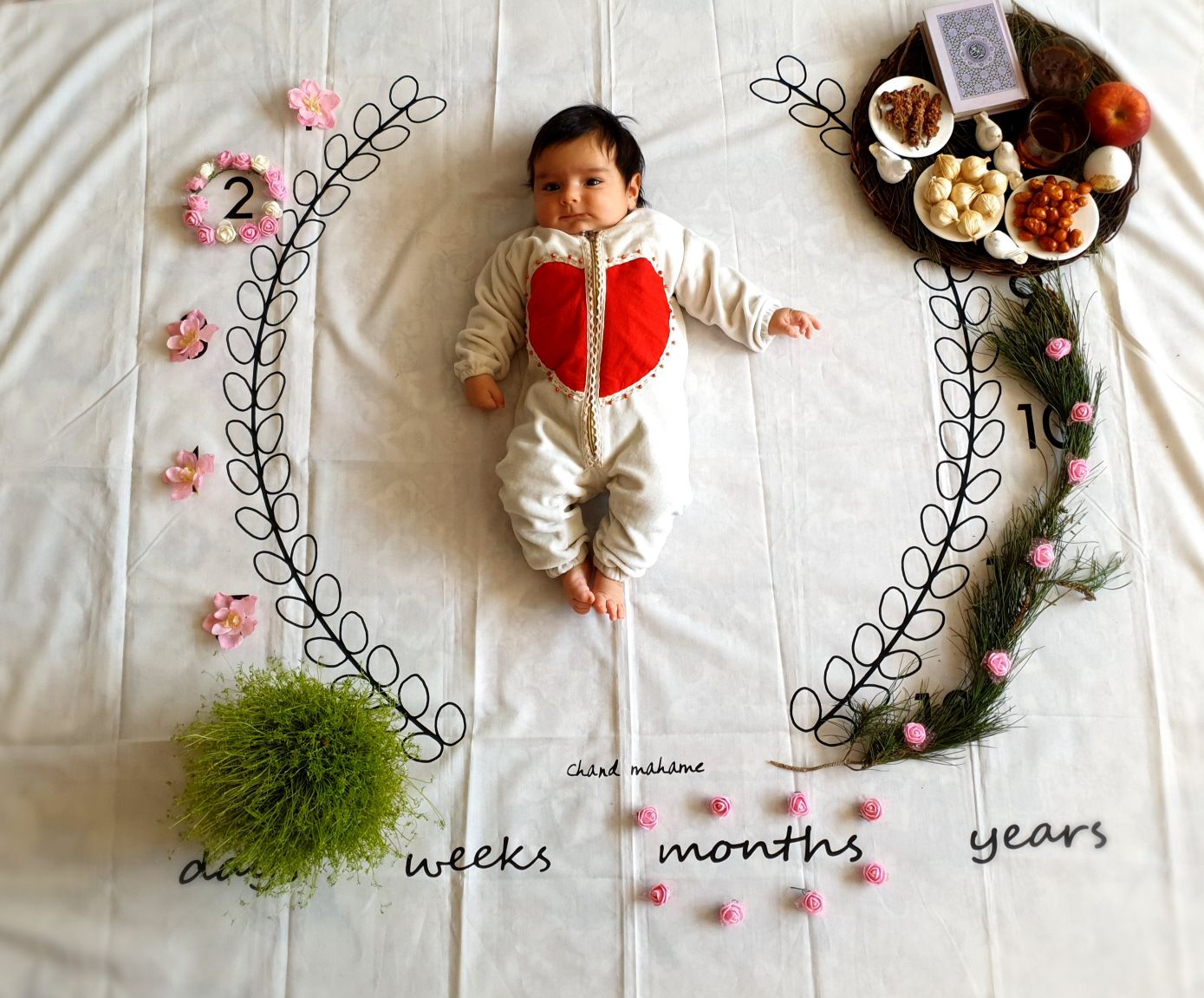 تم عکس بهاری کودک دلارام کریمی