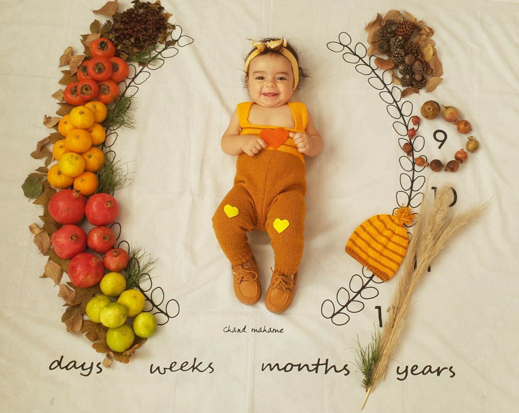 پارچه ماه شمار طرح شاخه زیتون دلارام کریمی