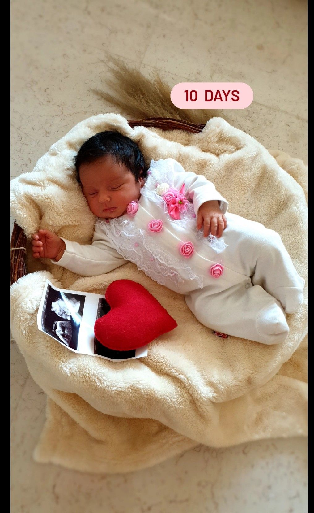 ده-روزگی دلارام کریمی