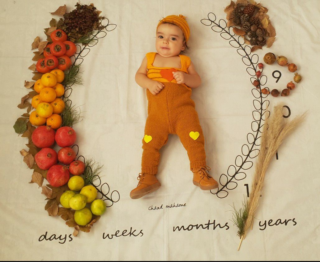 تم-پاییزی دلارام کریمی