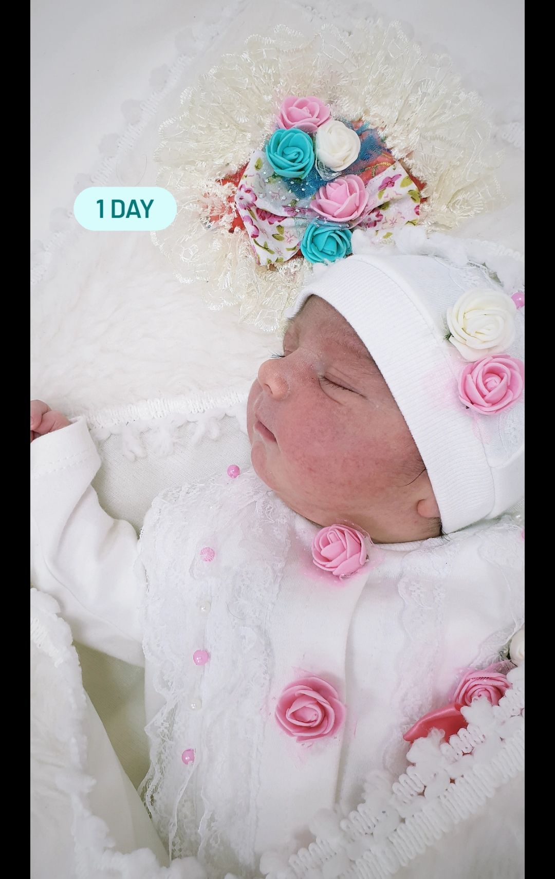 متولد شدن نوزاد دلارام کریمی