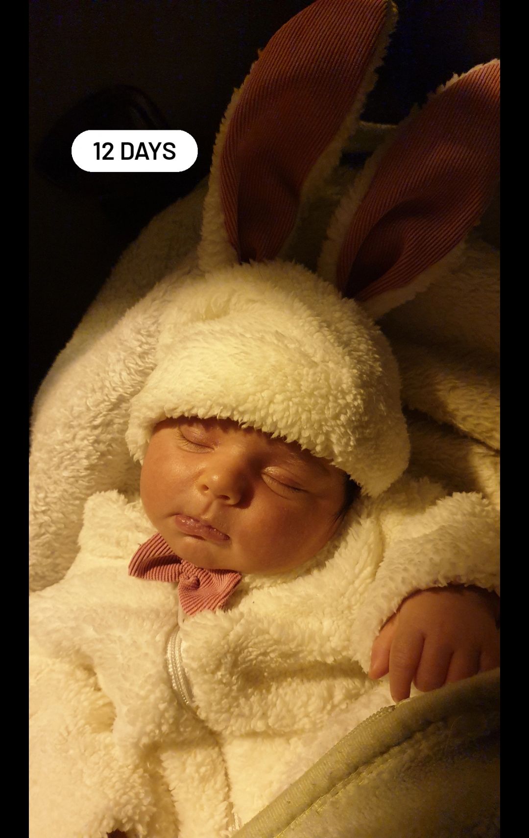 ده-روزگی دلارام کریمی