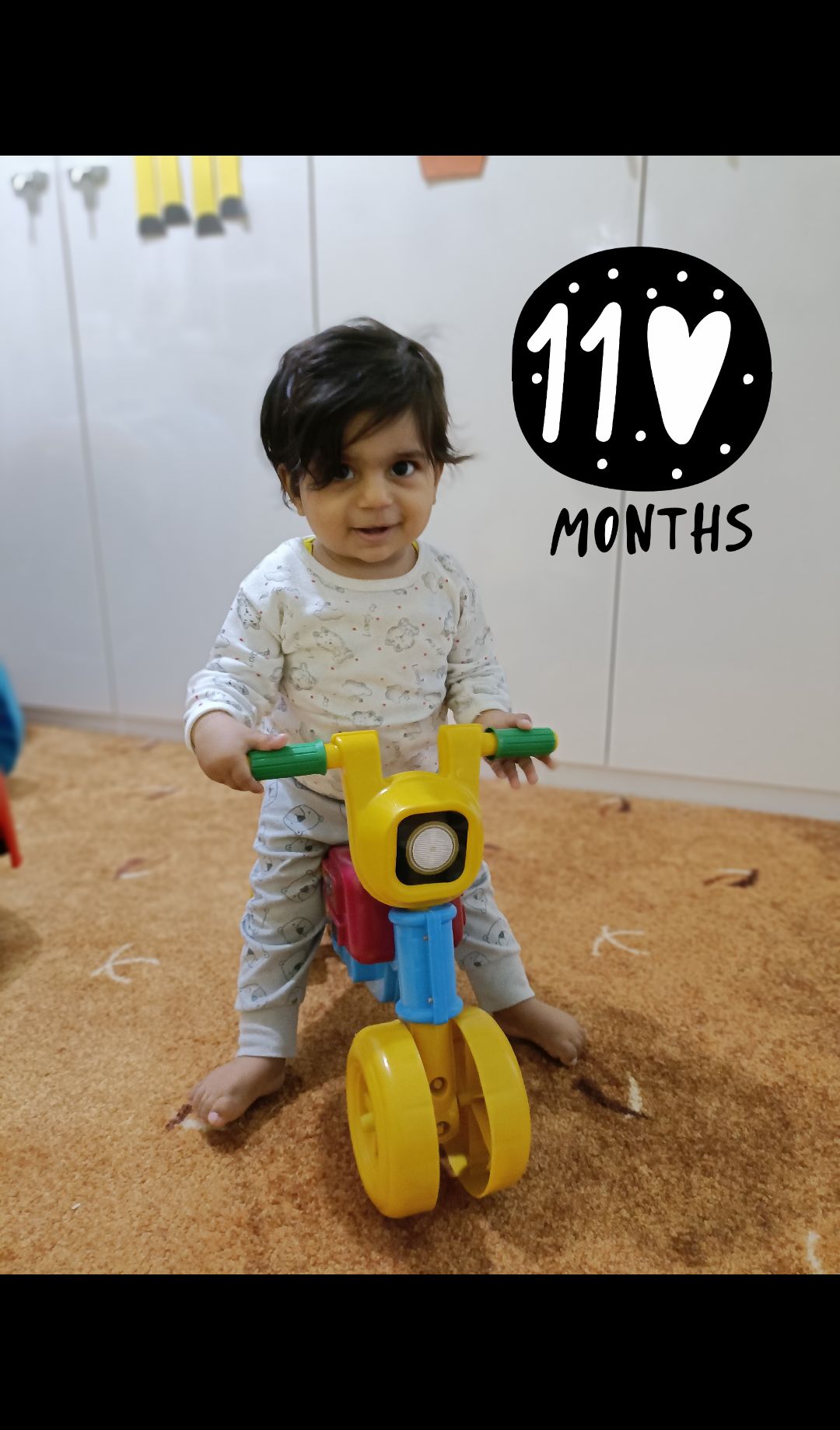 جوجه بنیامین ربیعی