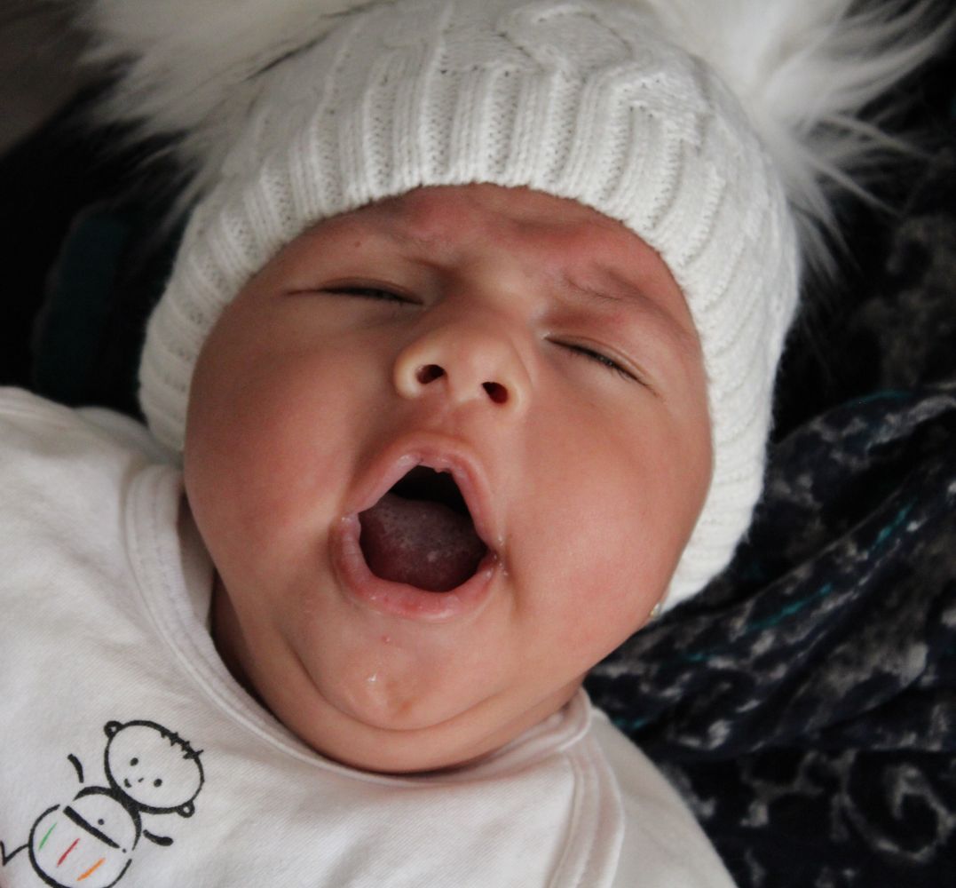 لالا کردنم هلنا سادات هاشمی زاده