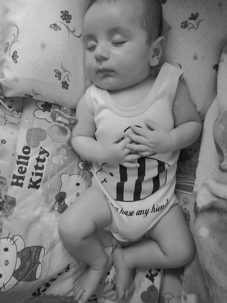 لالا کردنم آرش جمشیدی