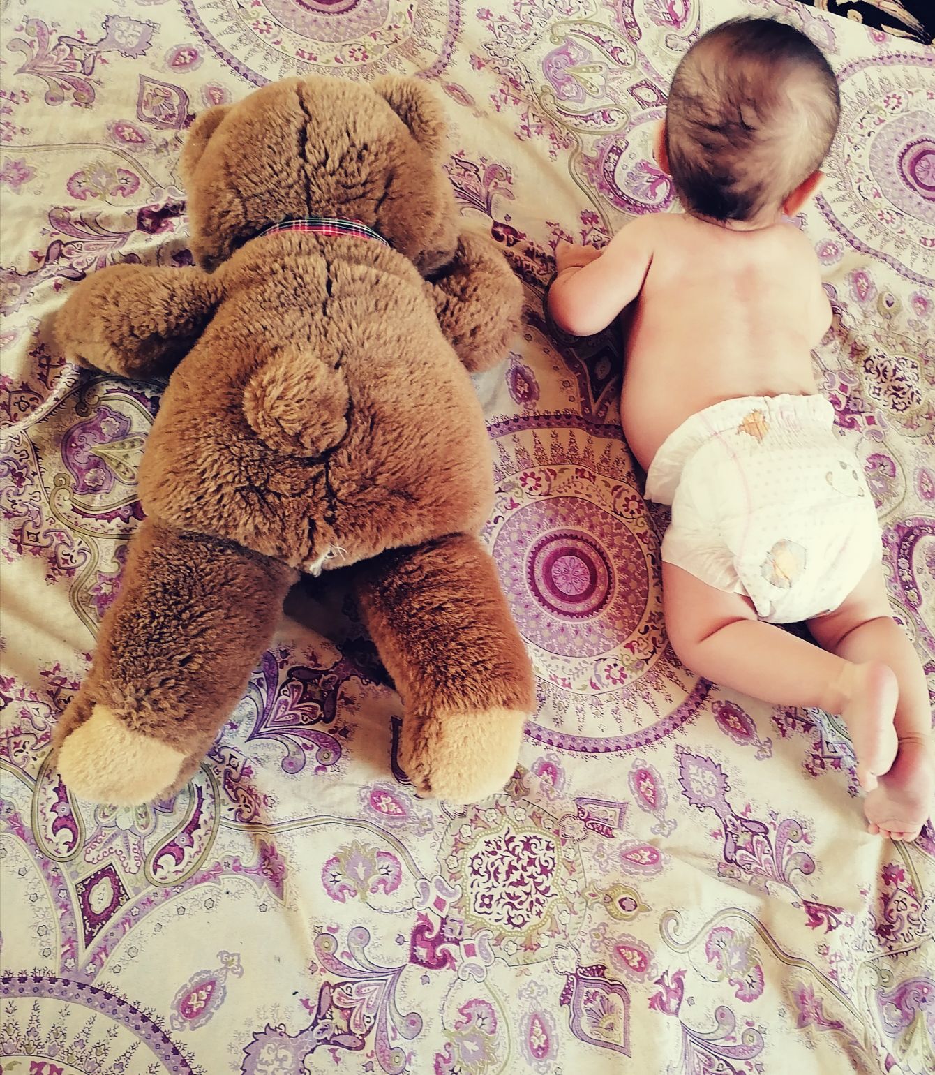 تم عکس تابستانی کودک آرش جمشیدی