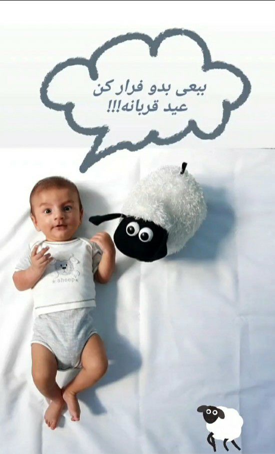 دو ماهگی نوزاد آرتان حامدی