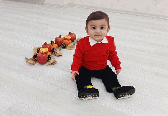 ایده آرتان حامدی