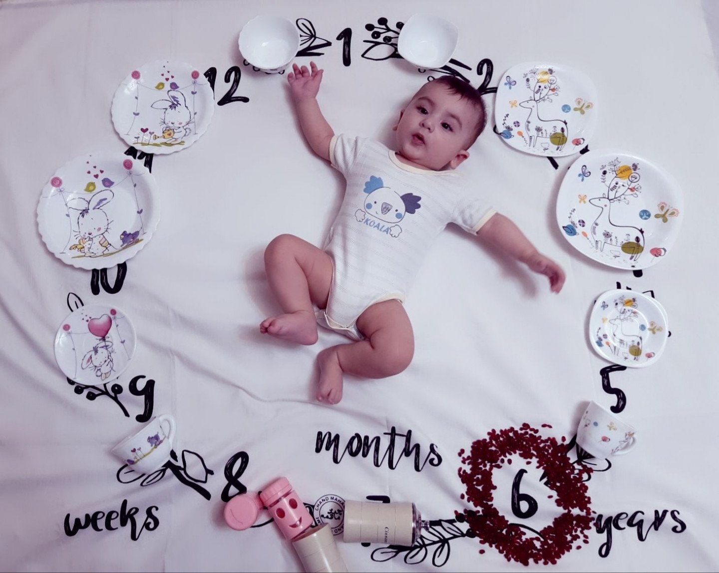 شش ماهگی نوزاد Arda paşam?