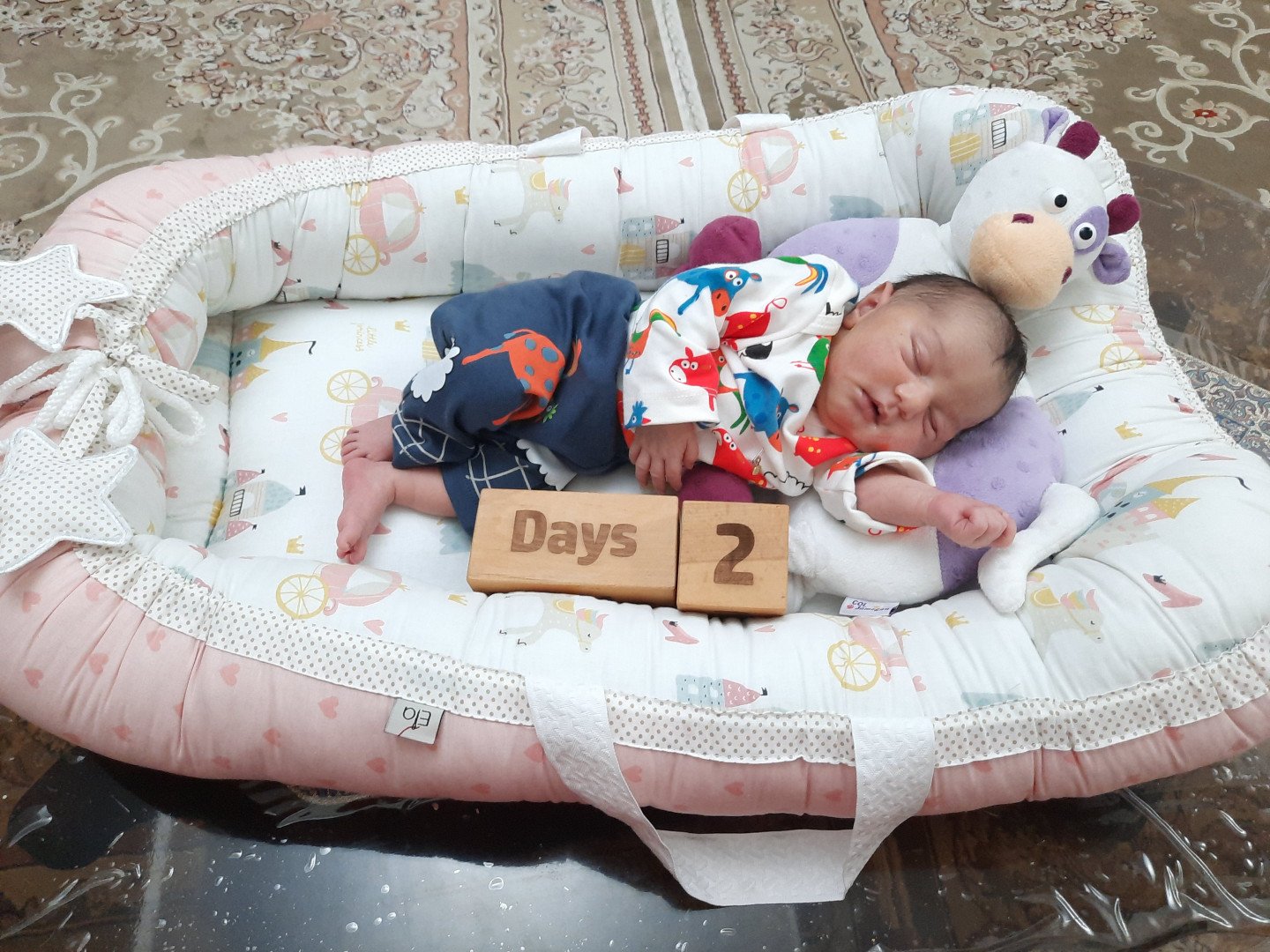 یک ماهگی نوزاد نورا نامدارلو