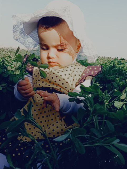 عکس سیزده بدر fatemeh zahra rameh dost