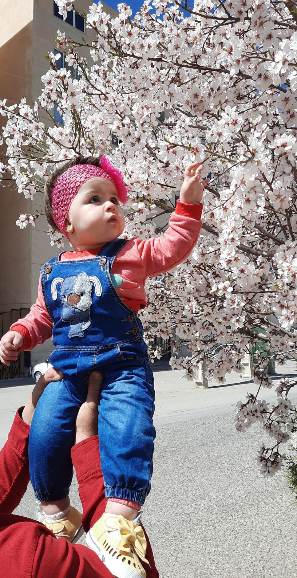 یازده ماهگی نوزاد محنا  زین العابدینی