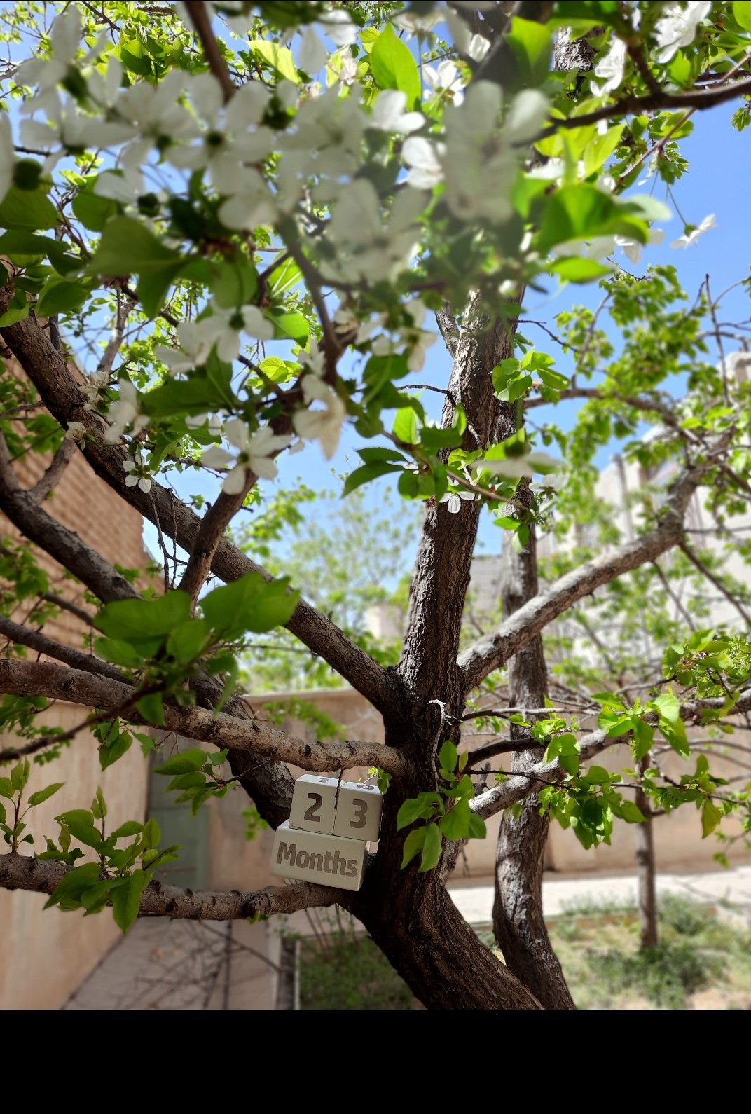 مکعبتاریخ-شمار محنا  زین العابدینی