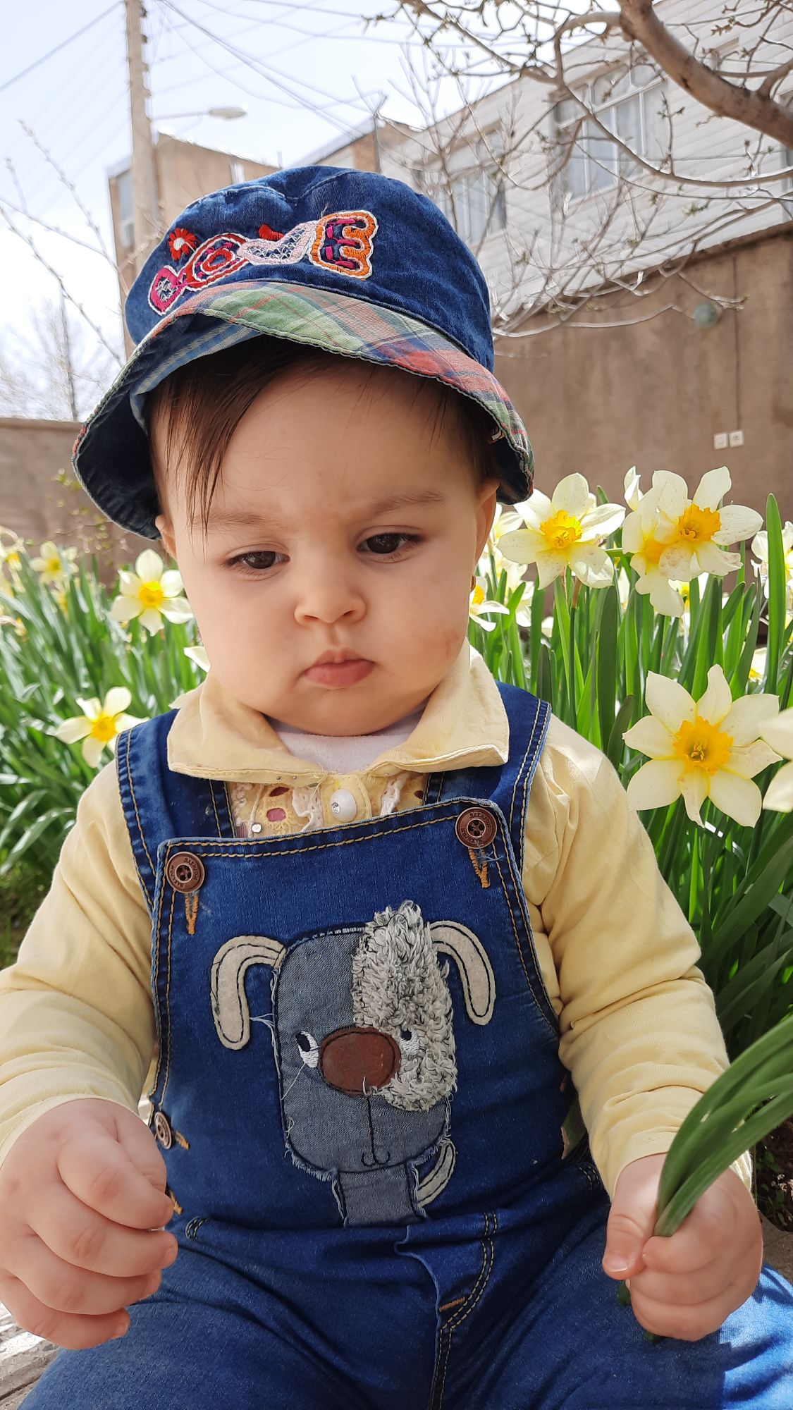 تم عکس بهاری کودک محنا  زین العابدینی