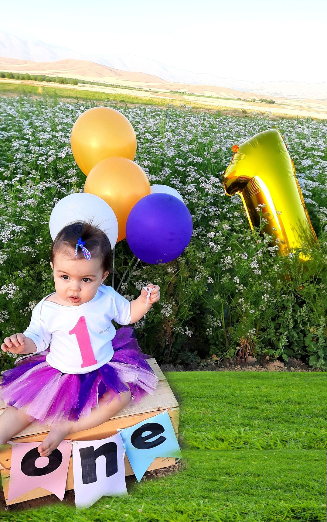 تولد یک سالگی کودک محنا  زین العابدینی