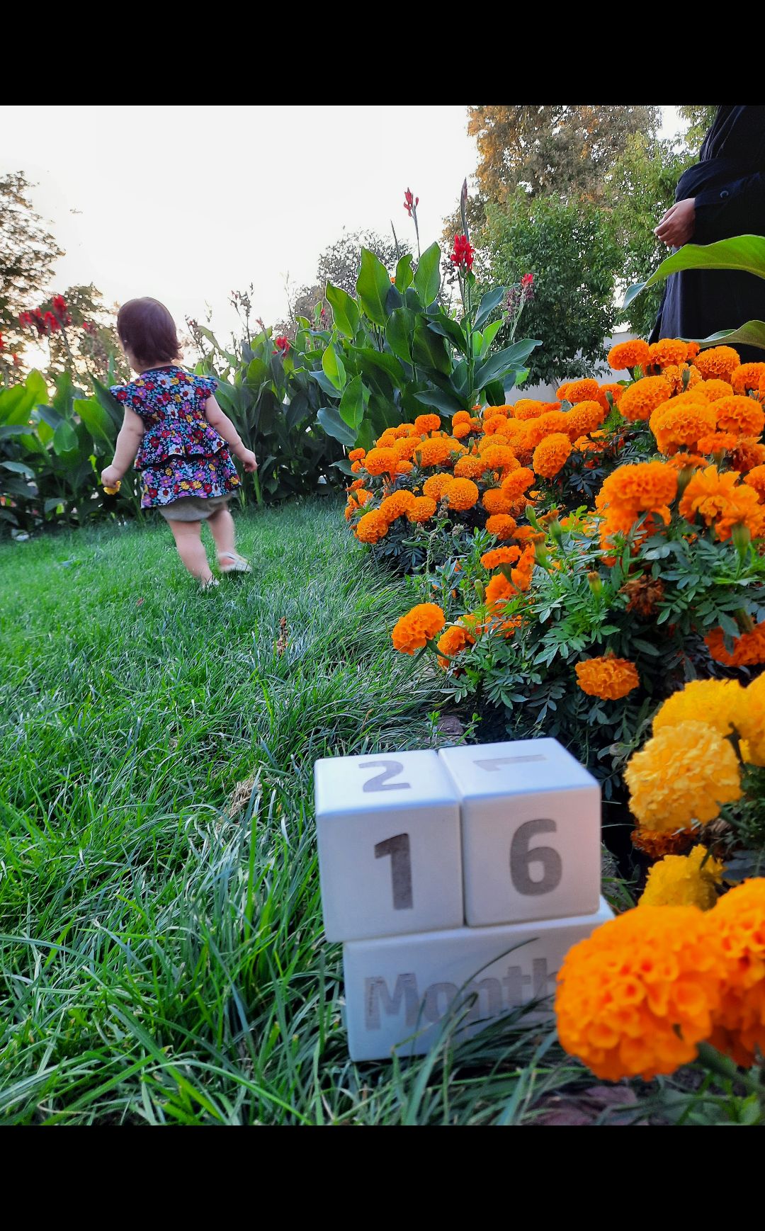 محصول محنا  زین العابدینی