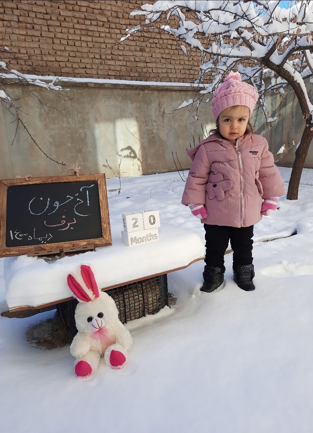 تم عکس زمستانی نوزاد محنا  زین العابدینی