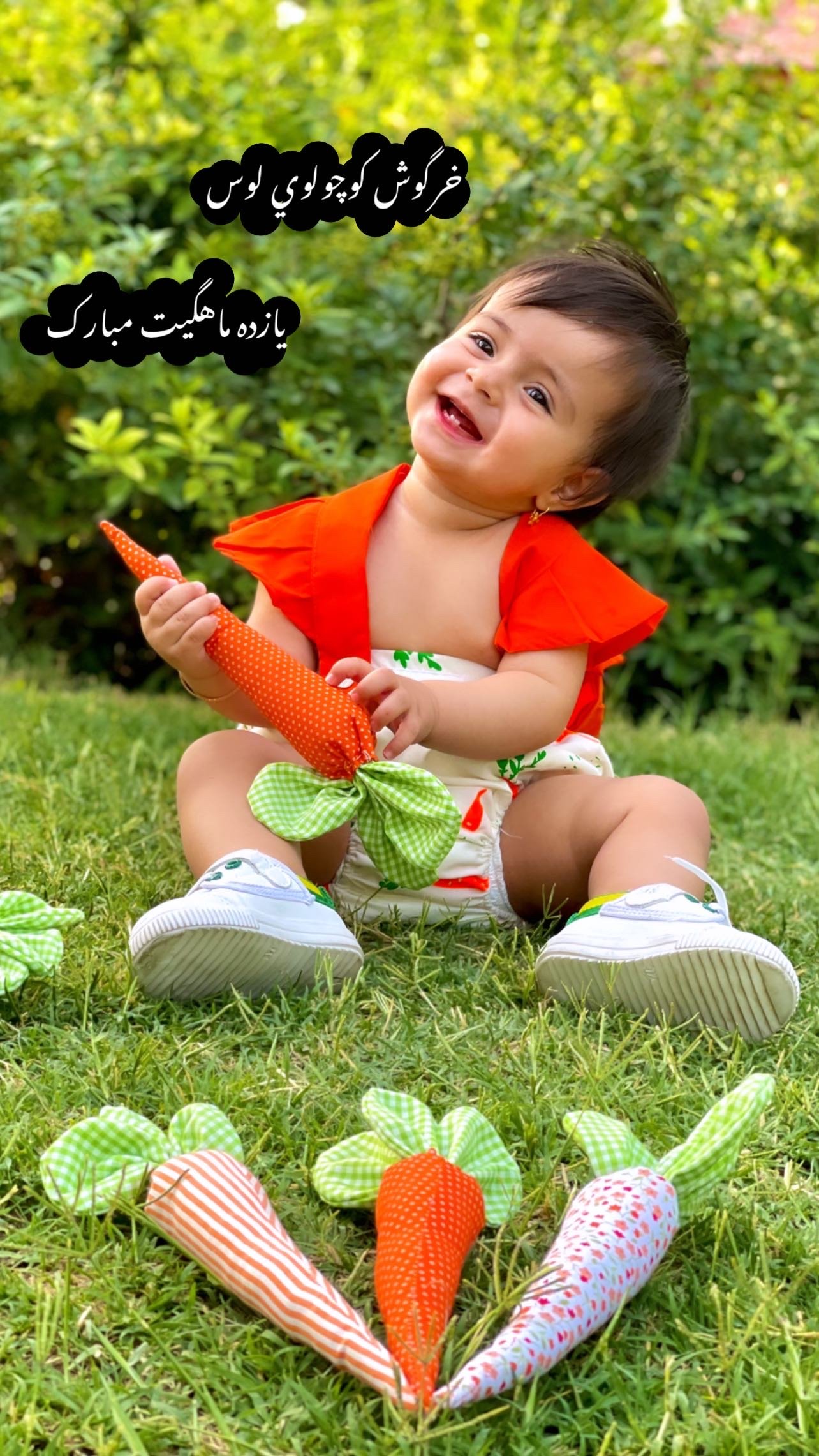 یازده ماهگی نوزاد آریانا استیری