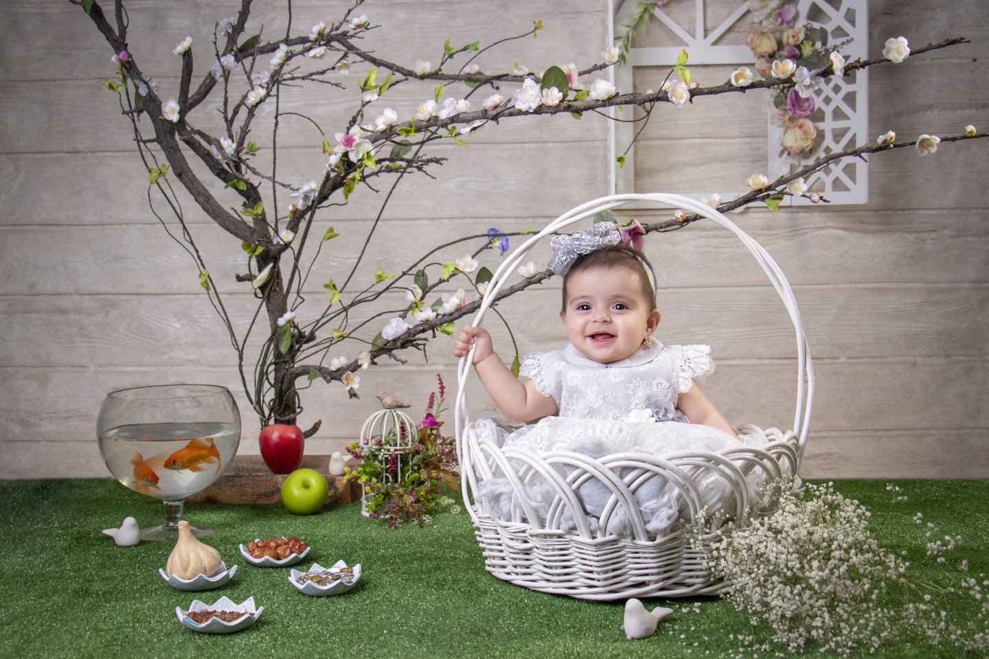 عید نوروز آریانا استیری