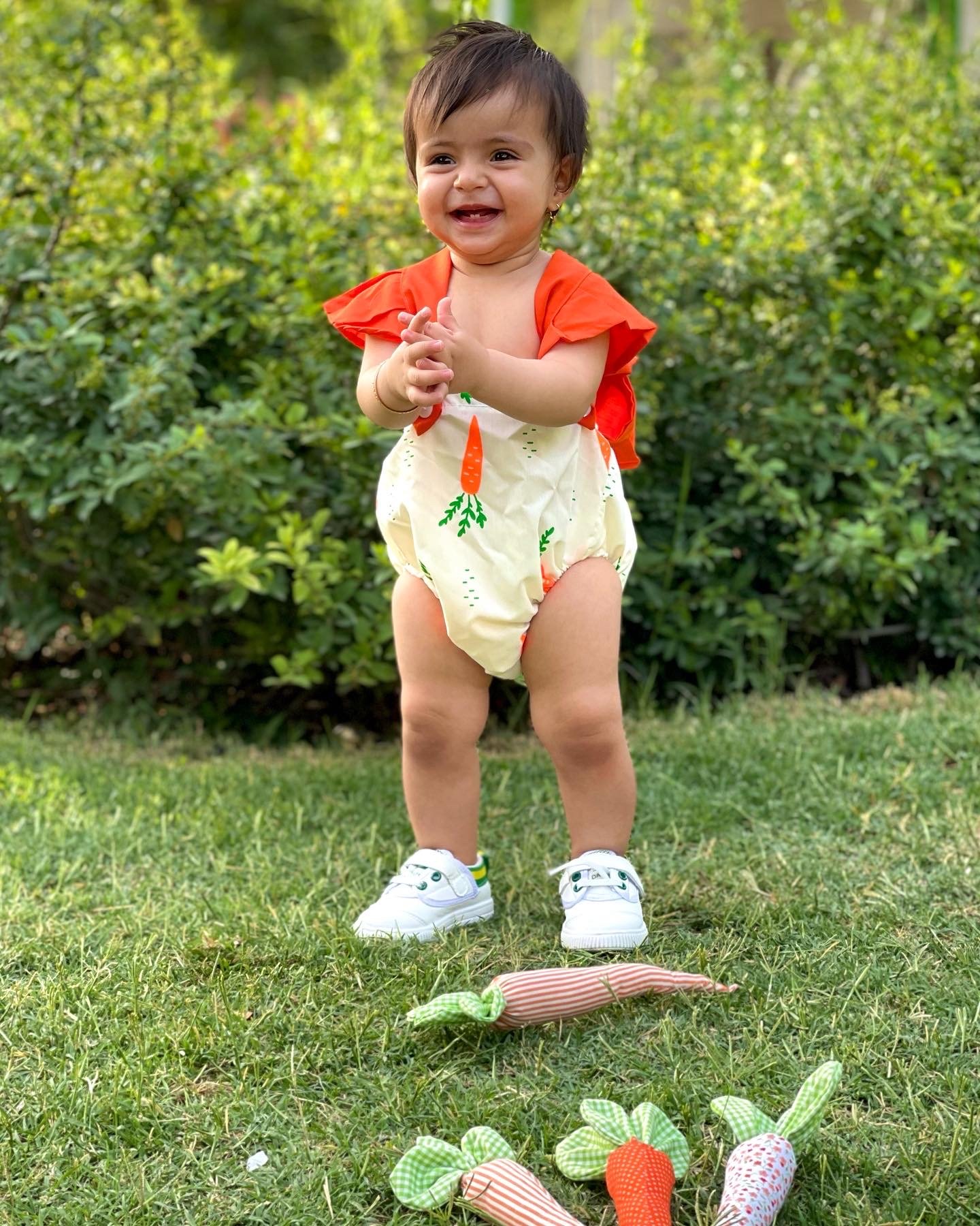 هویج پارچه‌ای آریانا استیری