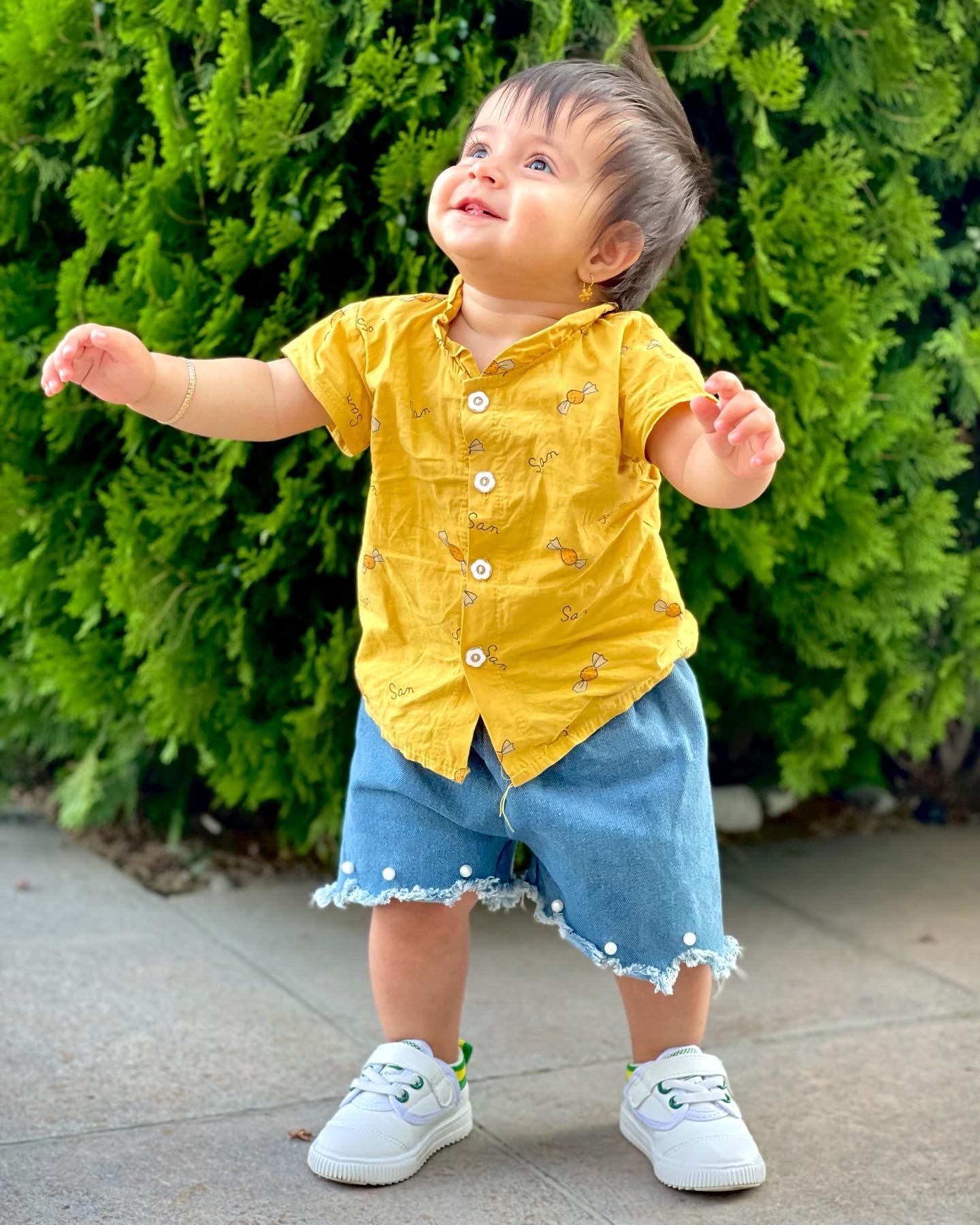 هویج پارچه‌ای آریانا استیری