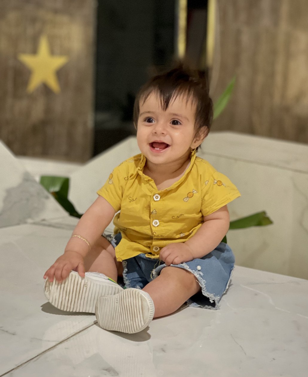 هویج پارچه‌ای آریانا استیری